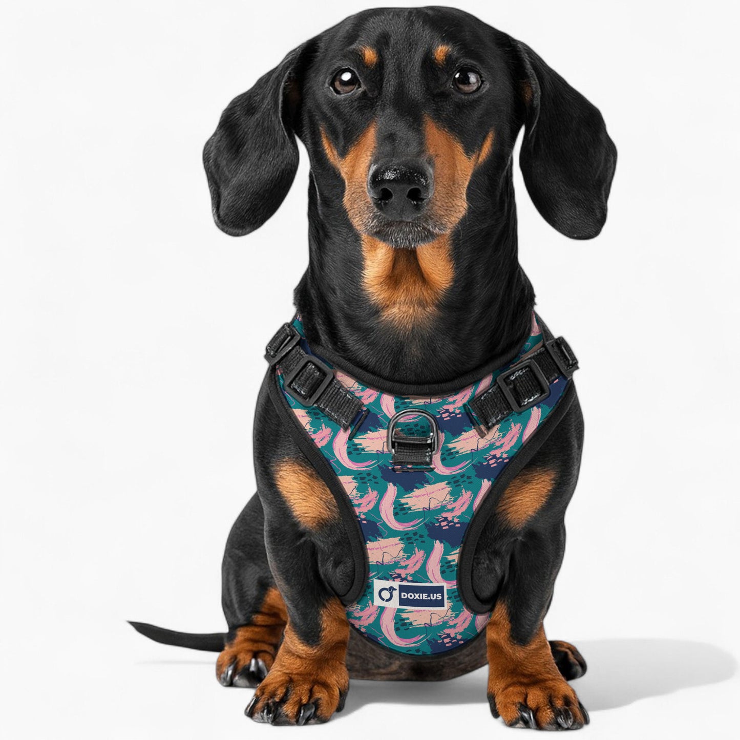 Johann - No-Pull Dachshund Dog Harness