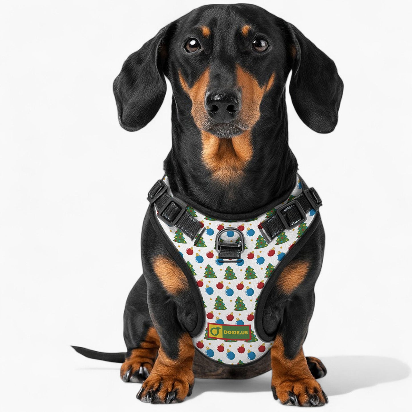 Martha - No-Pull Dachshund Dog Harness