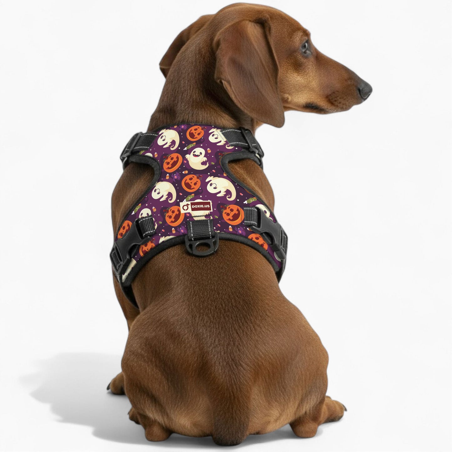 Rosie - No-Pull Dachshund Dog Harness