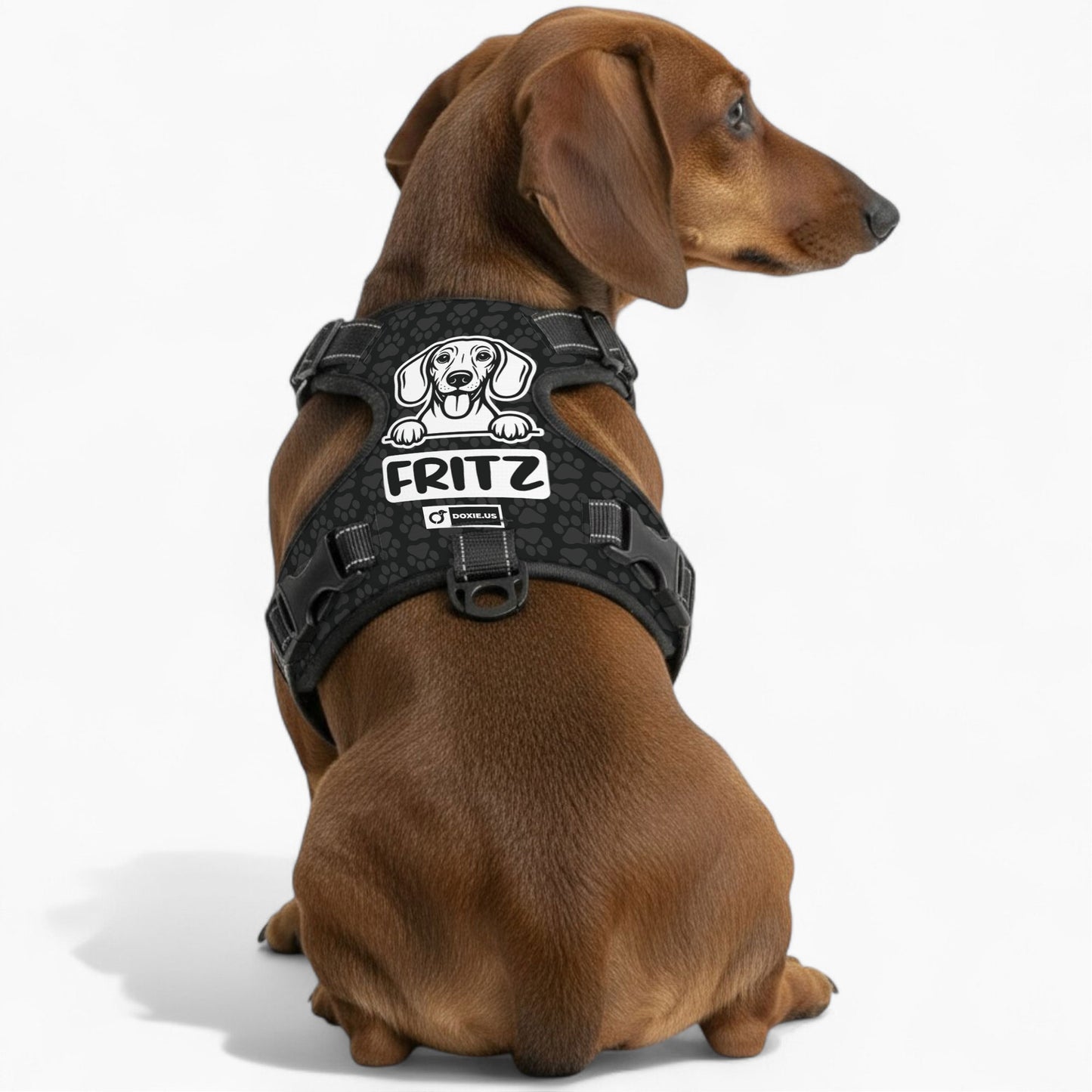 Hans - Personalized No-Pull Dachshund Dog Harness