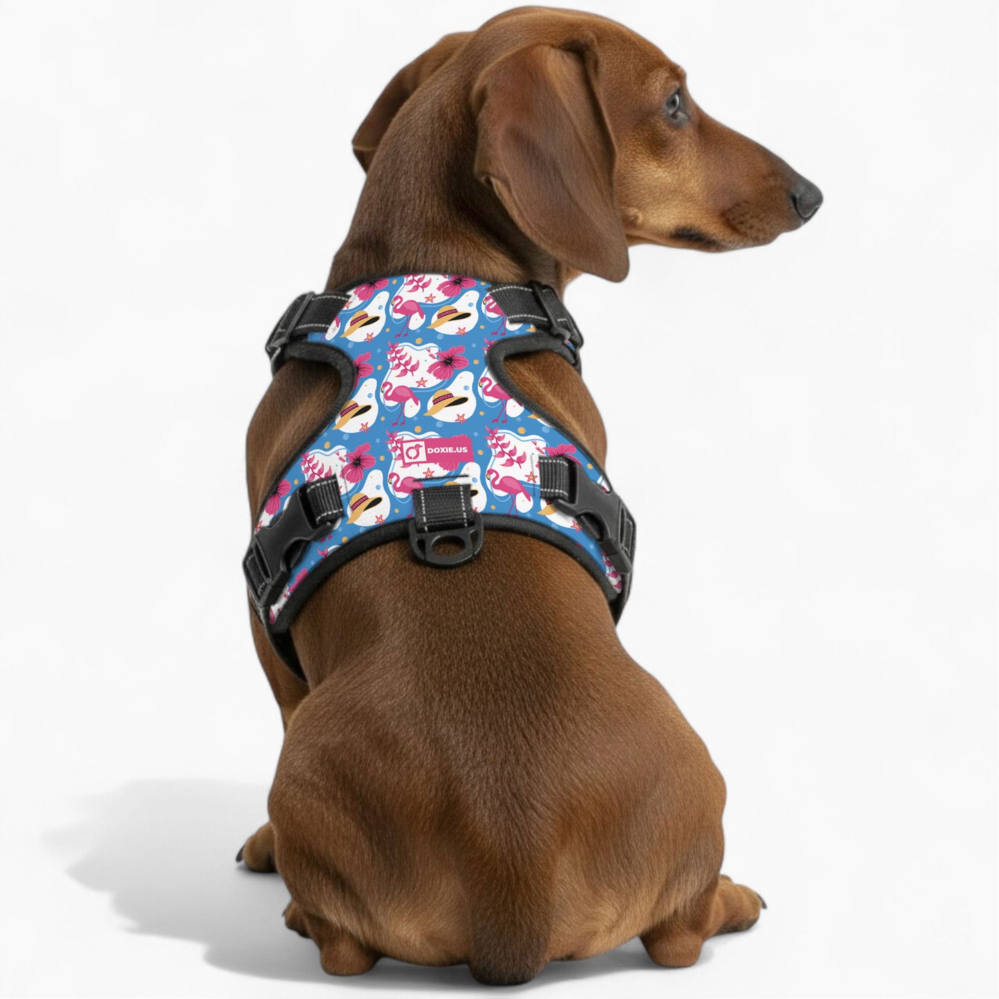 Pretzel - No-Pull Dachshund Dog Harness