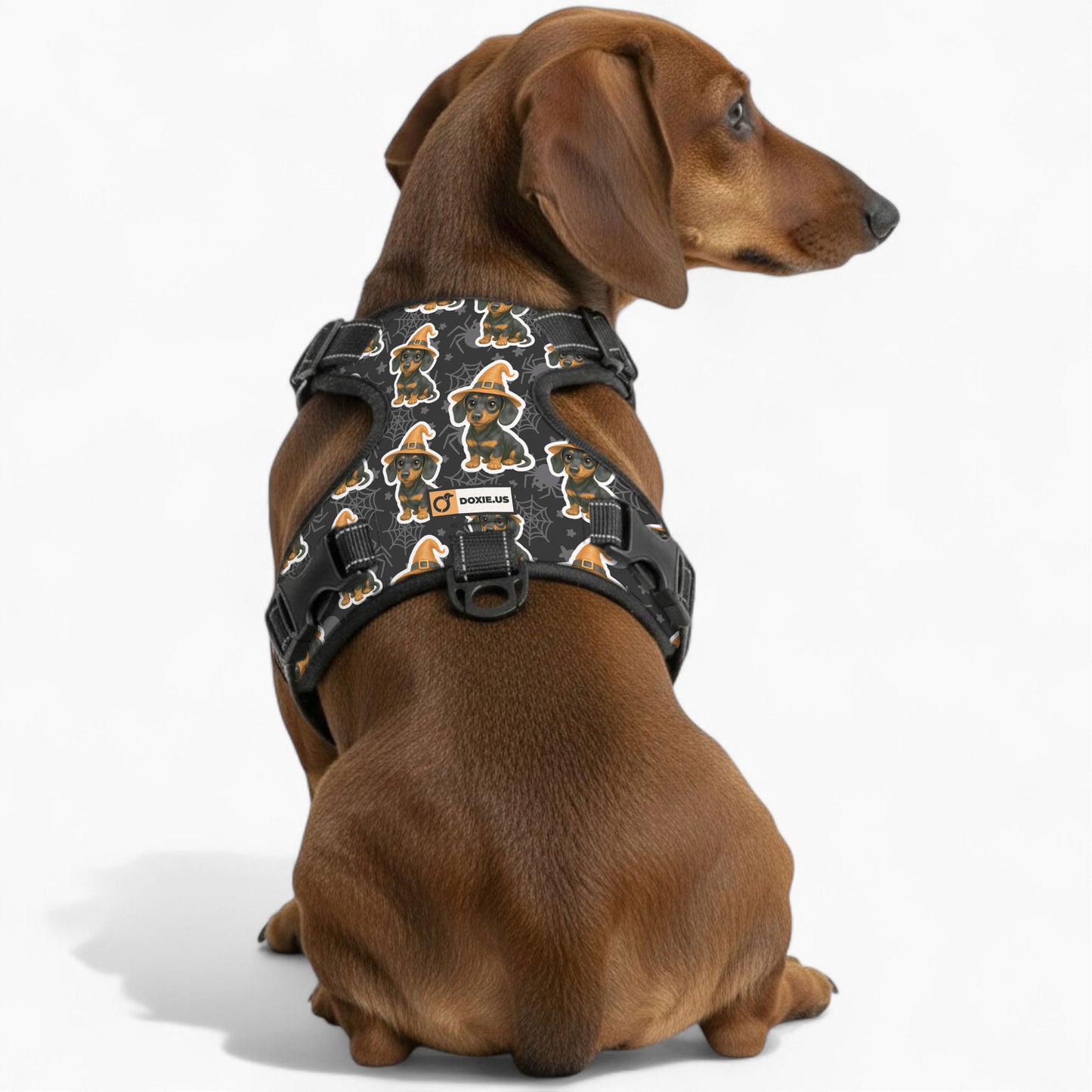 Roxy - No-Pull Dachshund Dog Harness