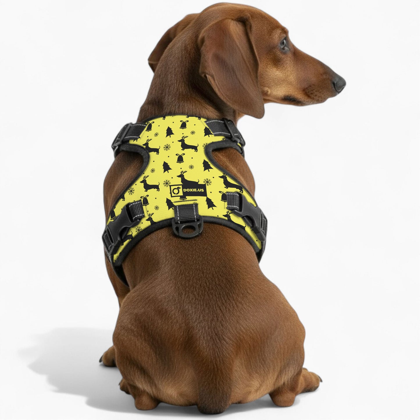 Gilbert - No-Pull Dachshund Dog Harness