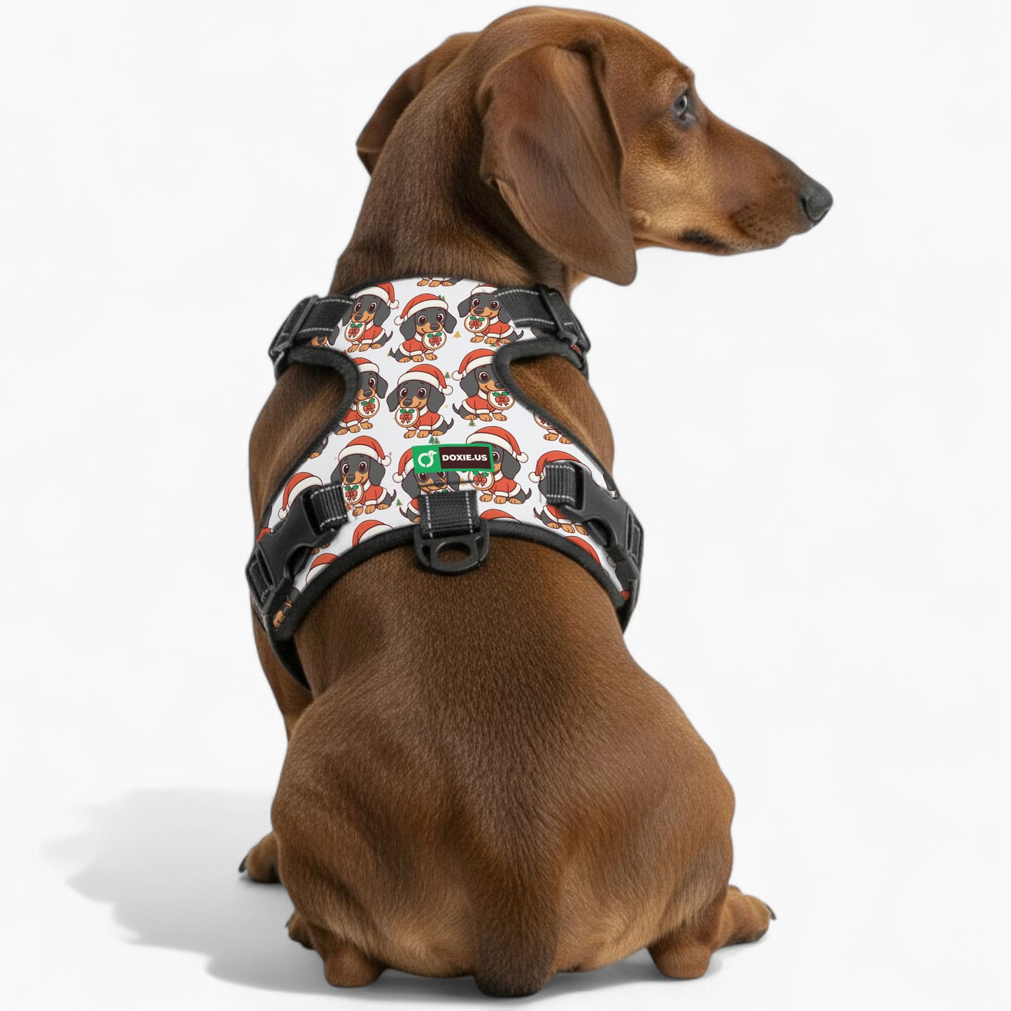 Kevin - No-Pull Dachshund Dog Harness