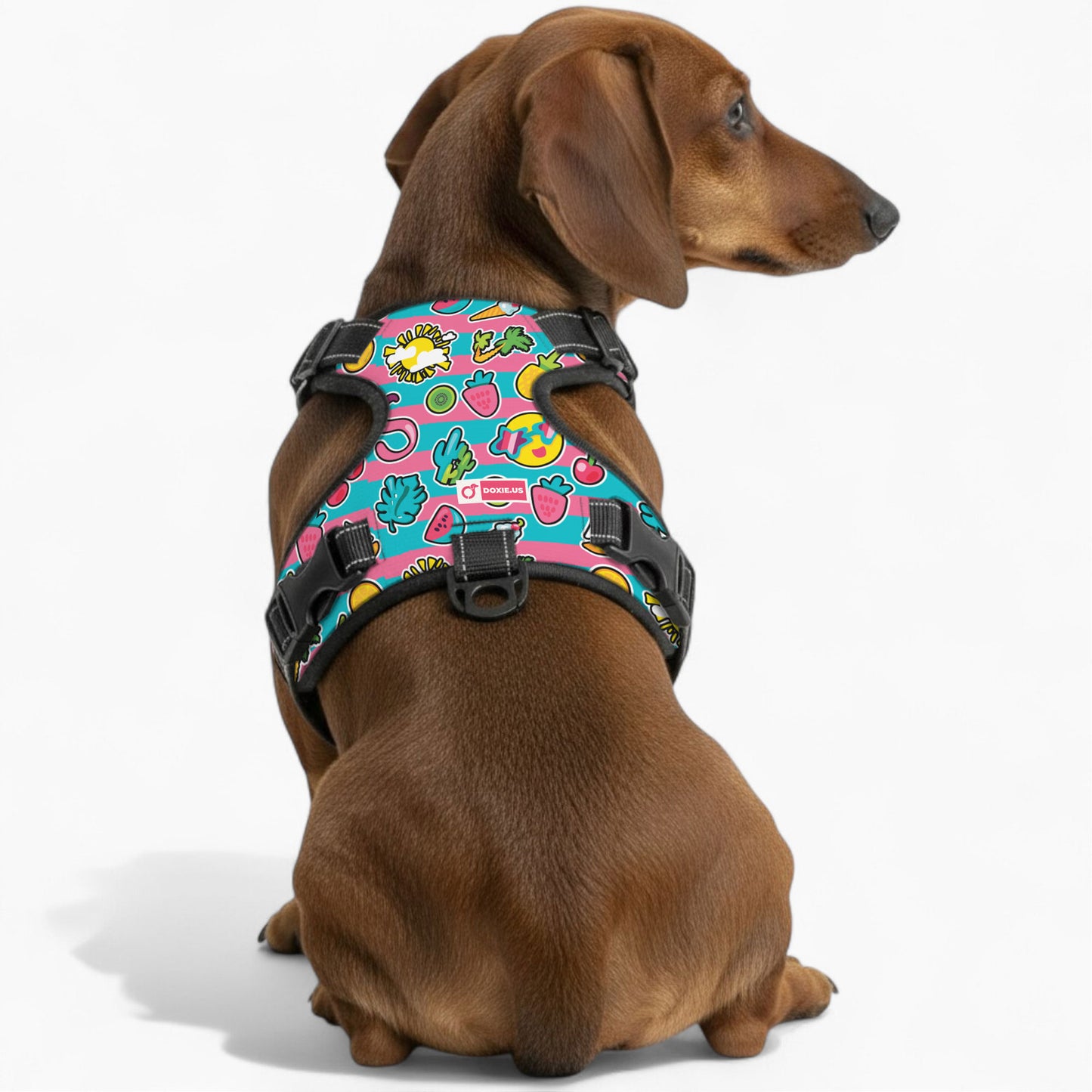 Franz - No-Pull Dachshund Dog Harness