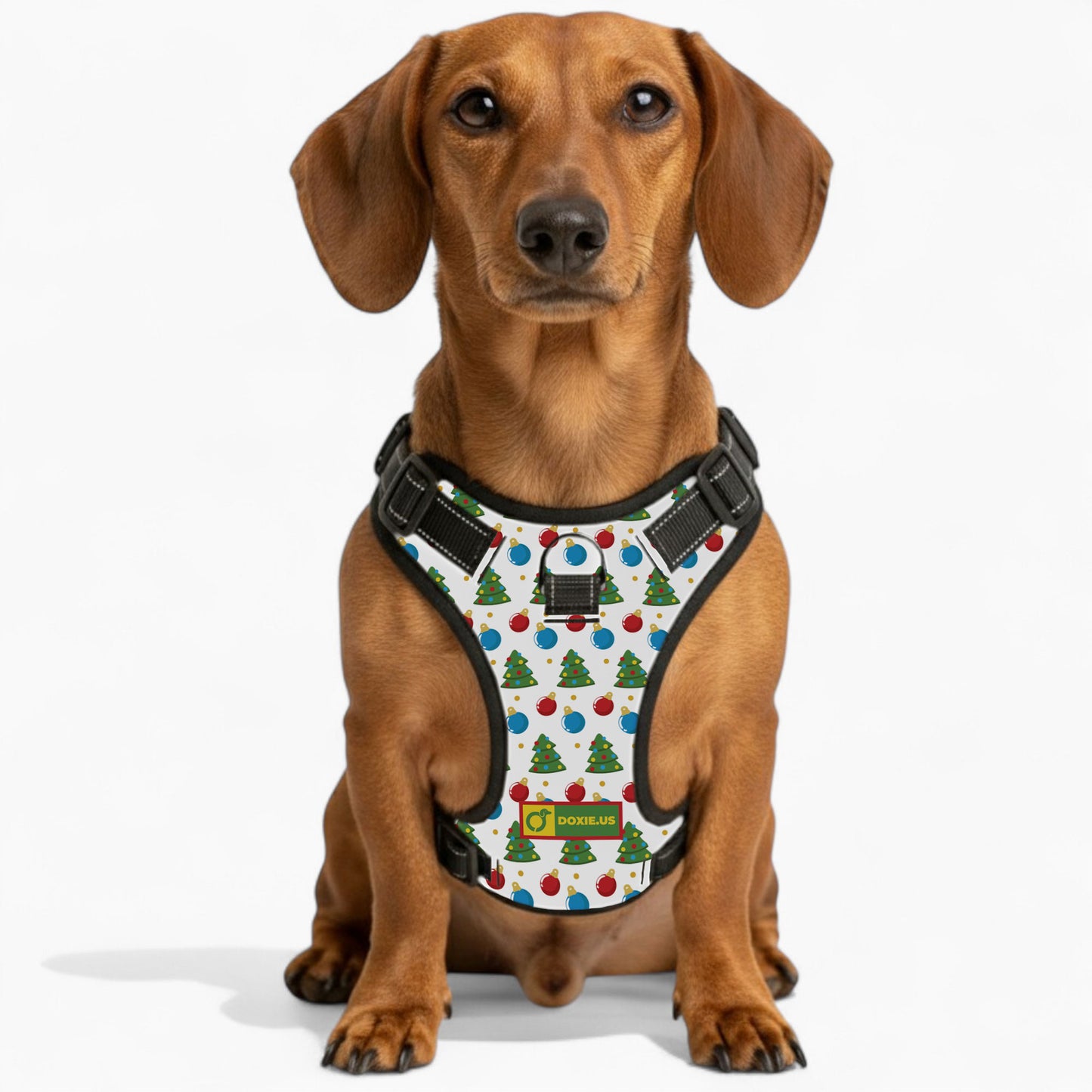 Martha - No-Pull Dachshund Dog Harness
