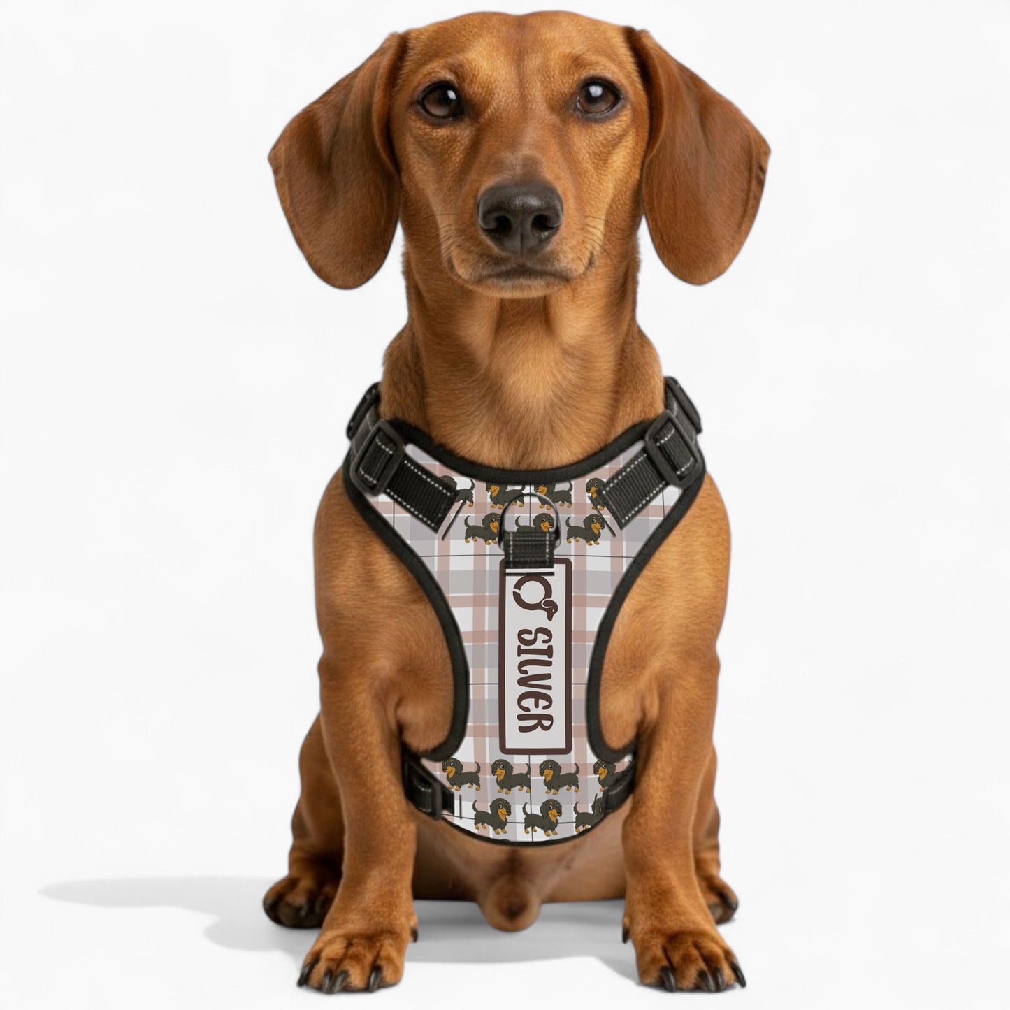 Thistle - Personalized No-Pull Dachshund Dog Harness