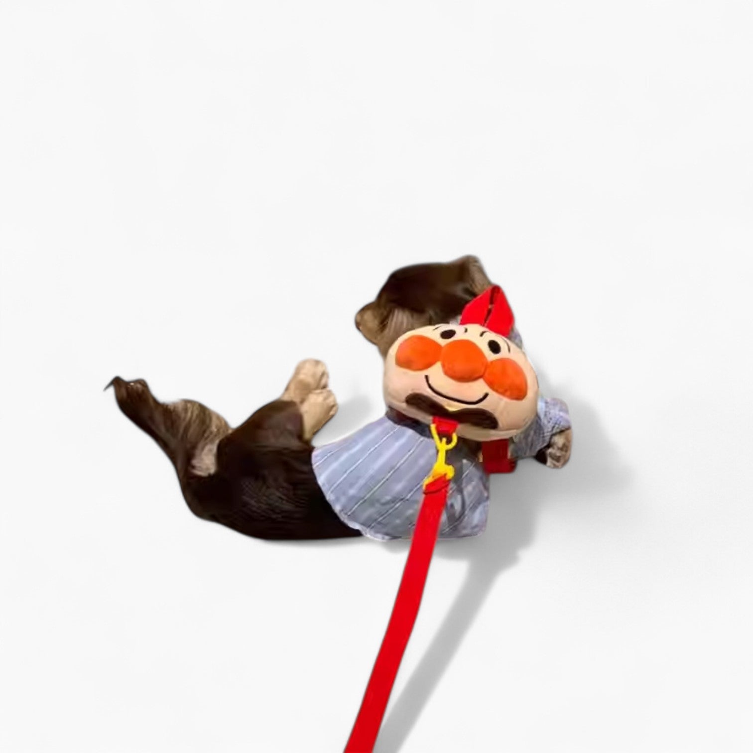 HarniBag-Dachshund-Backpack-Harness.jpg