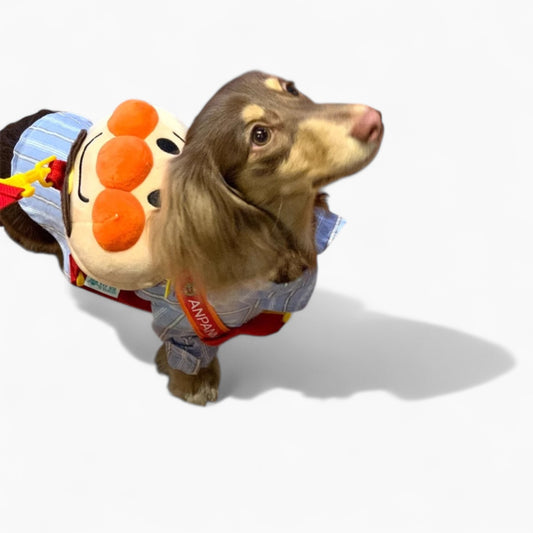 HarniBag-Dachshund-Backpack-Harness.jpg