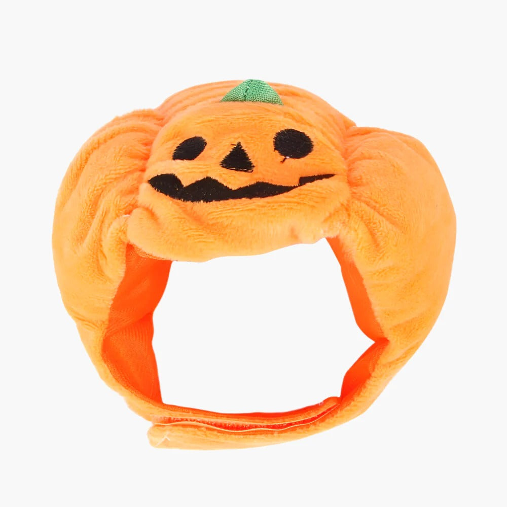 JackaPup-Dachshund-Pumpkin-Hat.jpg