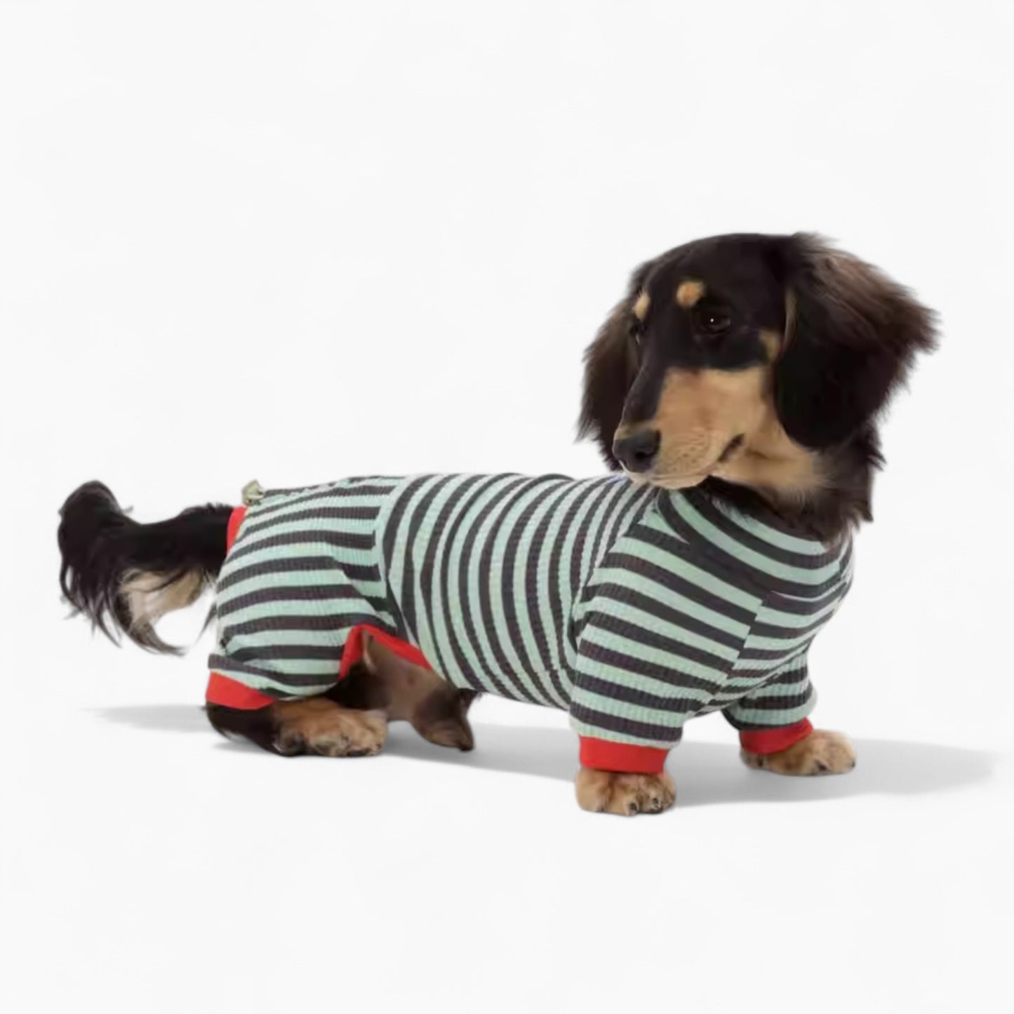 LounJee-Dachshund-Striped-Jumpsuit.jpg