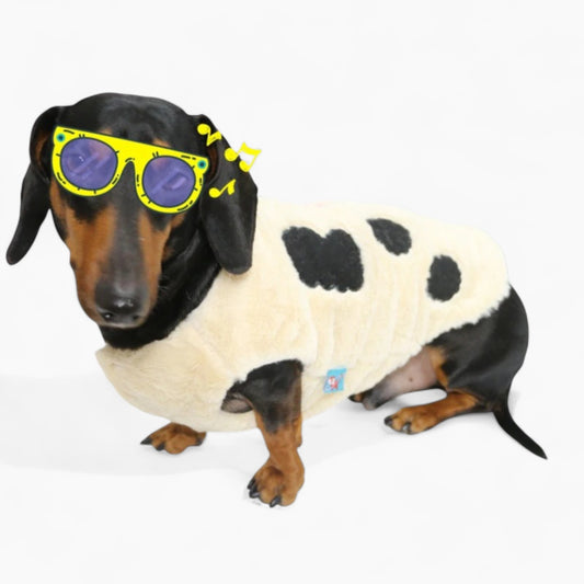 MooMutt-Dachshund-Winter-Hoodie.jpg