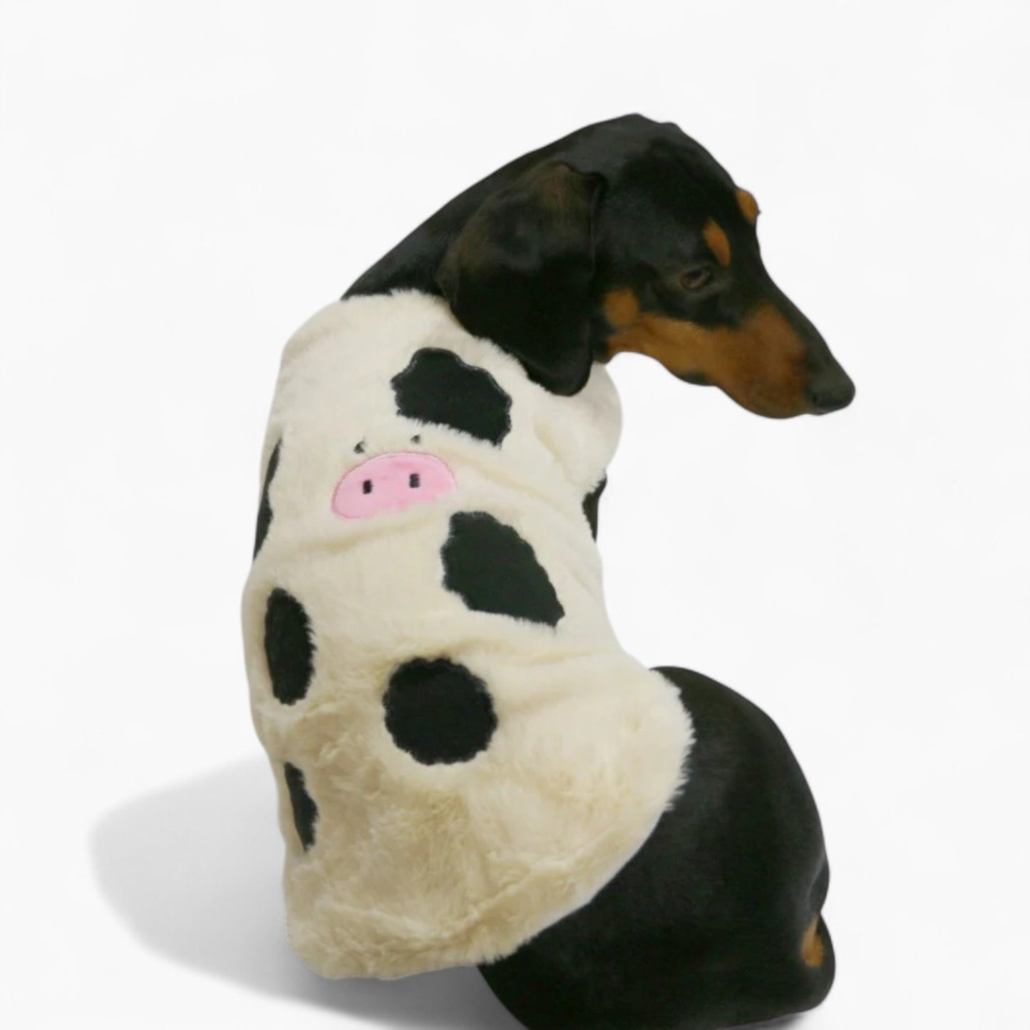 MooMutt-Dachshund-Winter-Hoodie.jpg