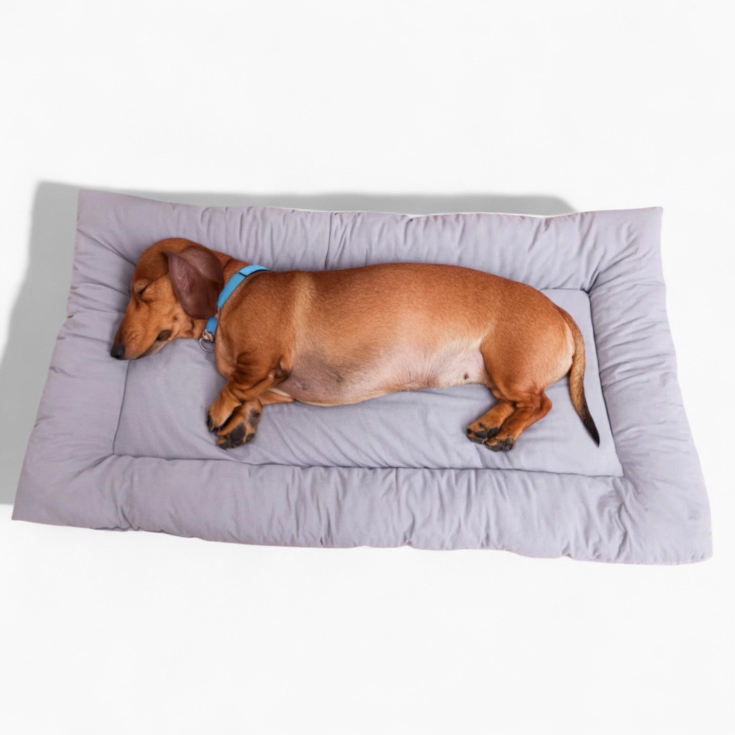 Napdox-Dachshund-Sleeping-Mat.jpg