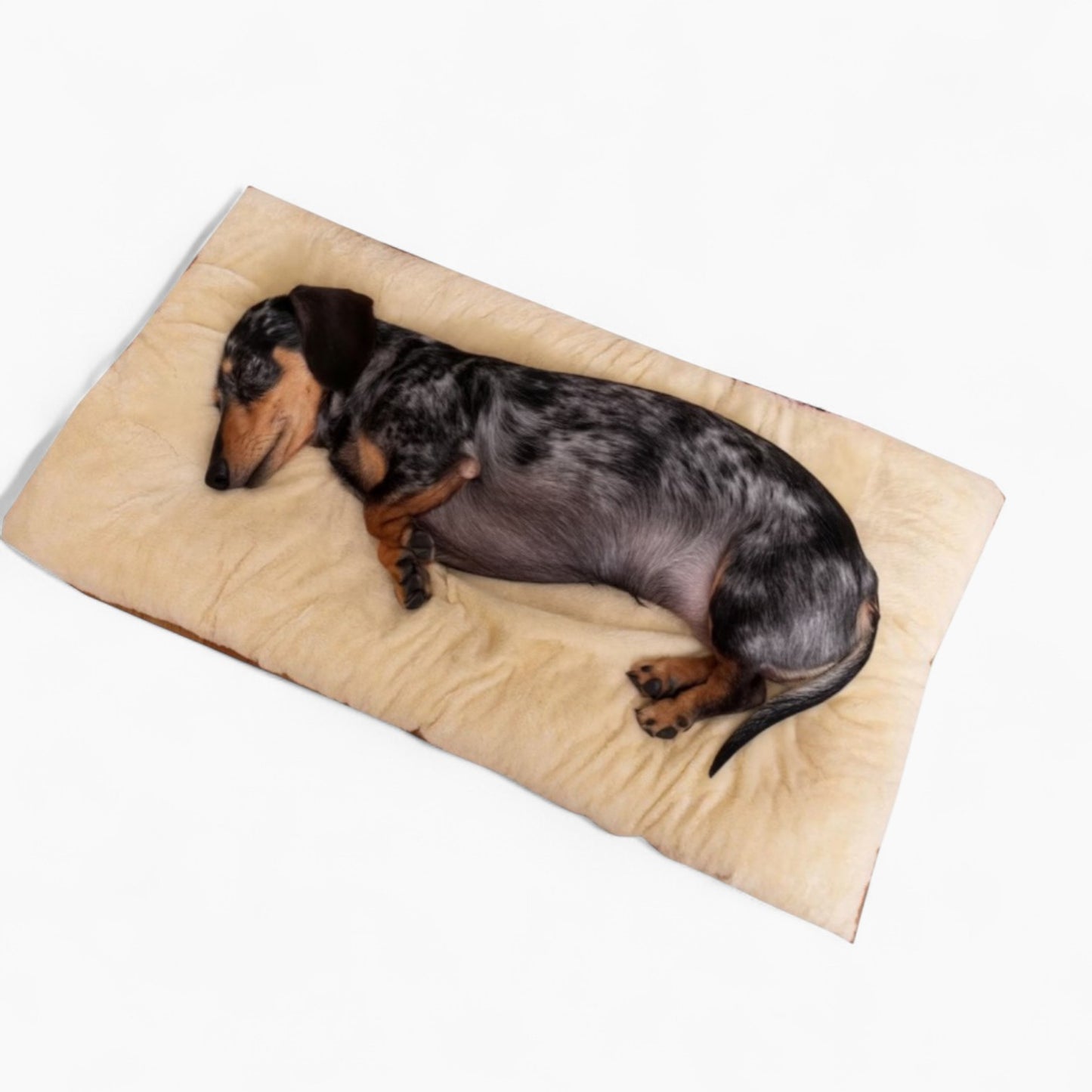 Napdox-Dachshund-Sleeping-Mat.jpg
