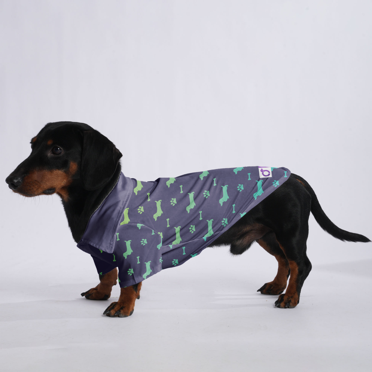 Hugo - Hawaiian Shirt for Doxies