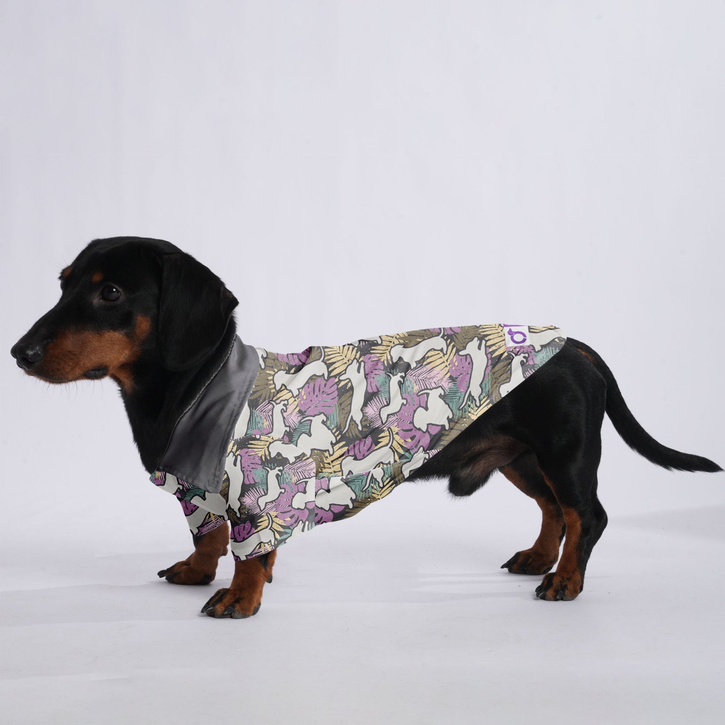 max - Hawaiian Shirt for Doxies