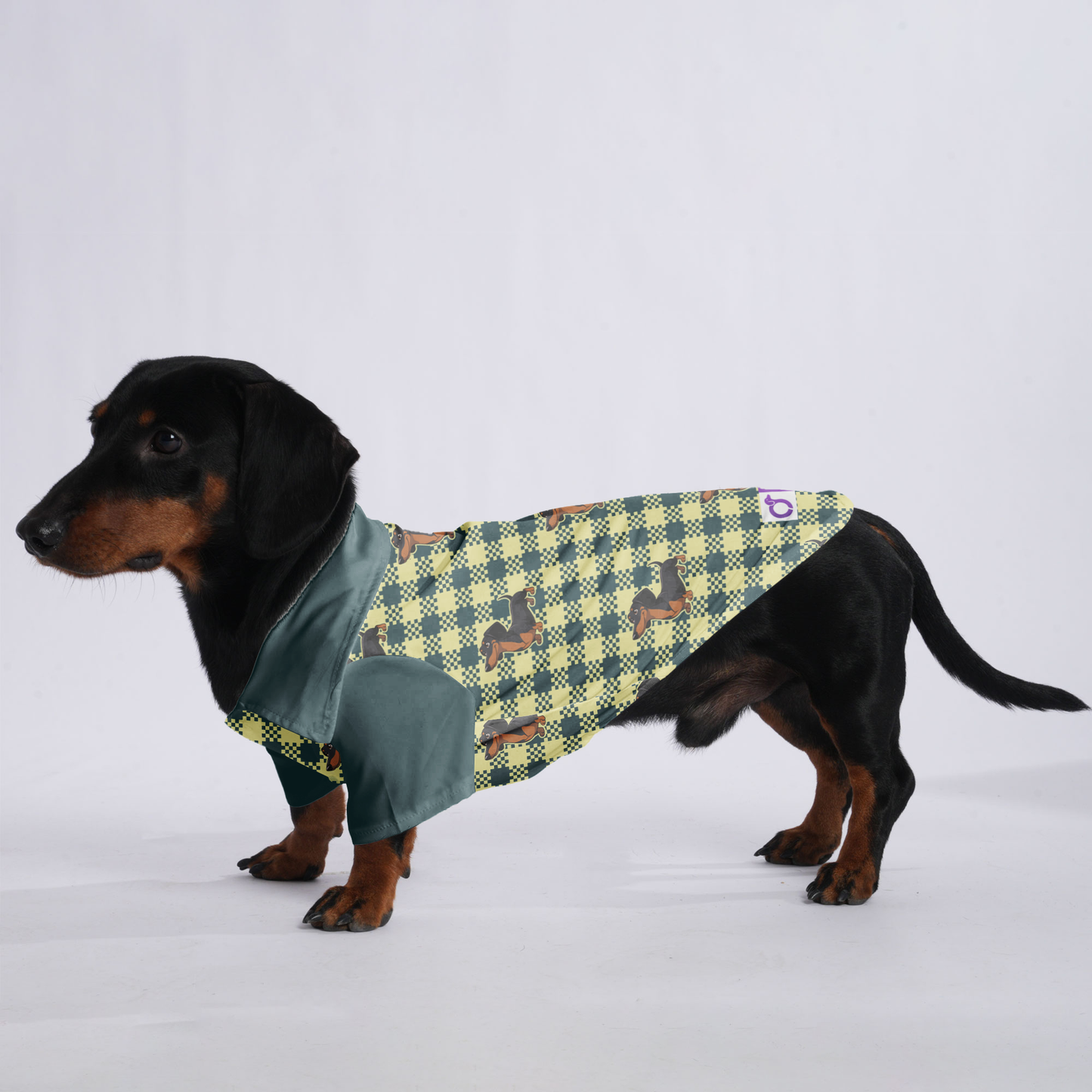 Sage - Hawaiian Shirt for Doxies