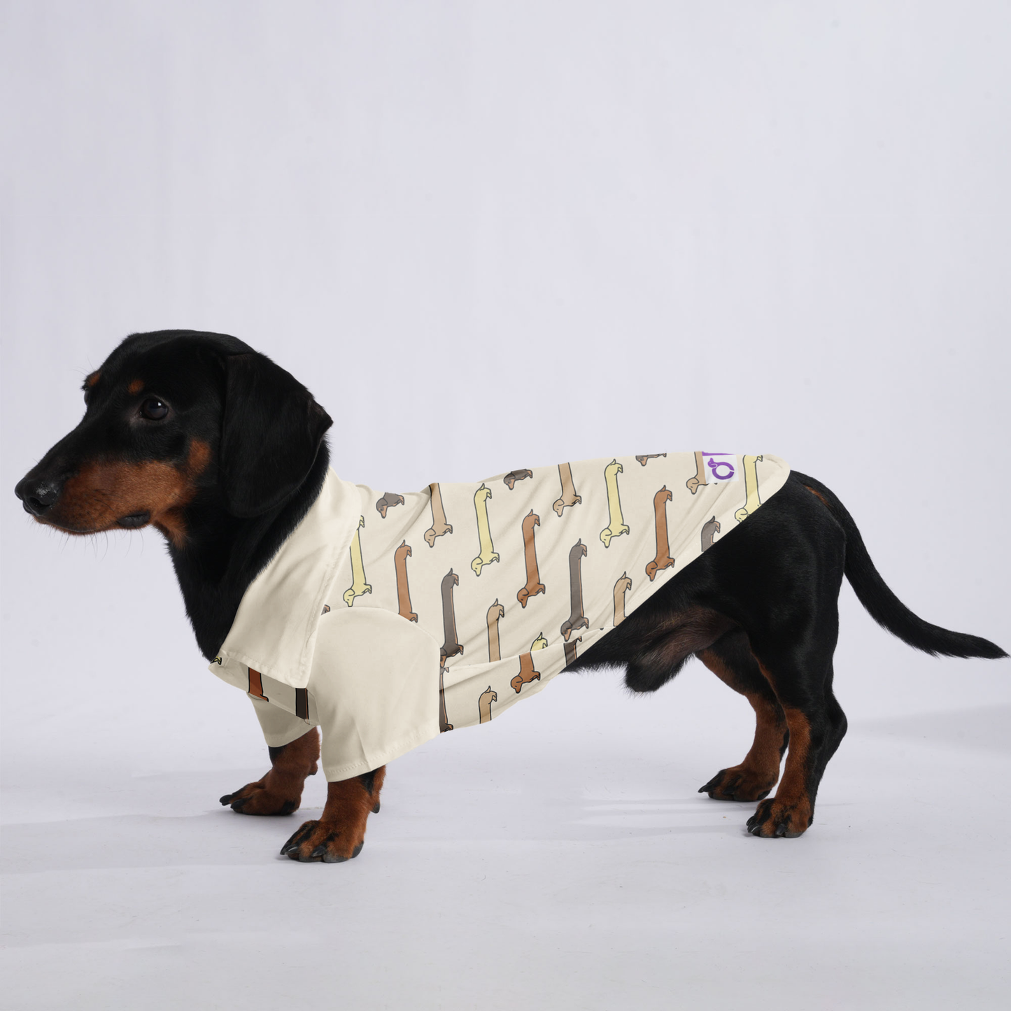 Pepper - Hawaiian Shirt for Doxies