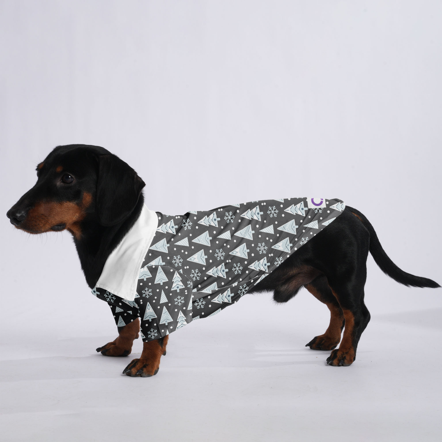 Lola - Hawaiian Shirt for Doxies