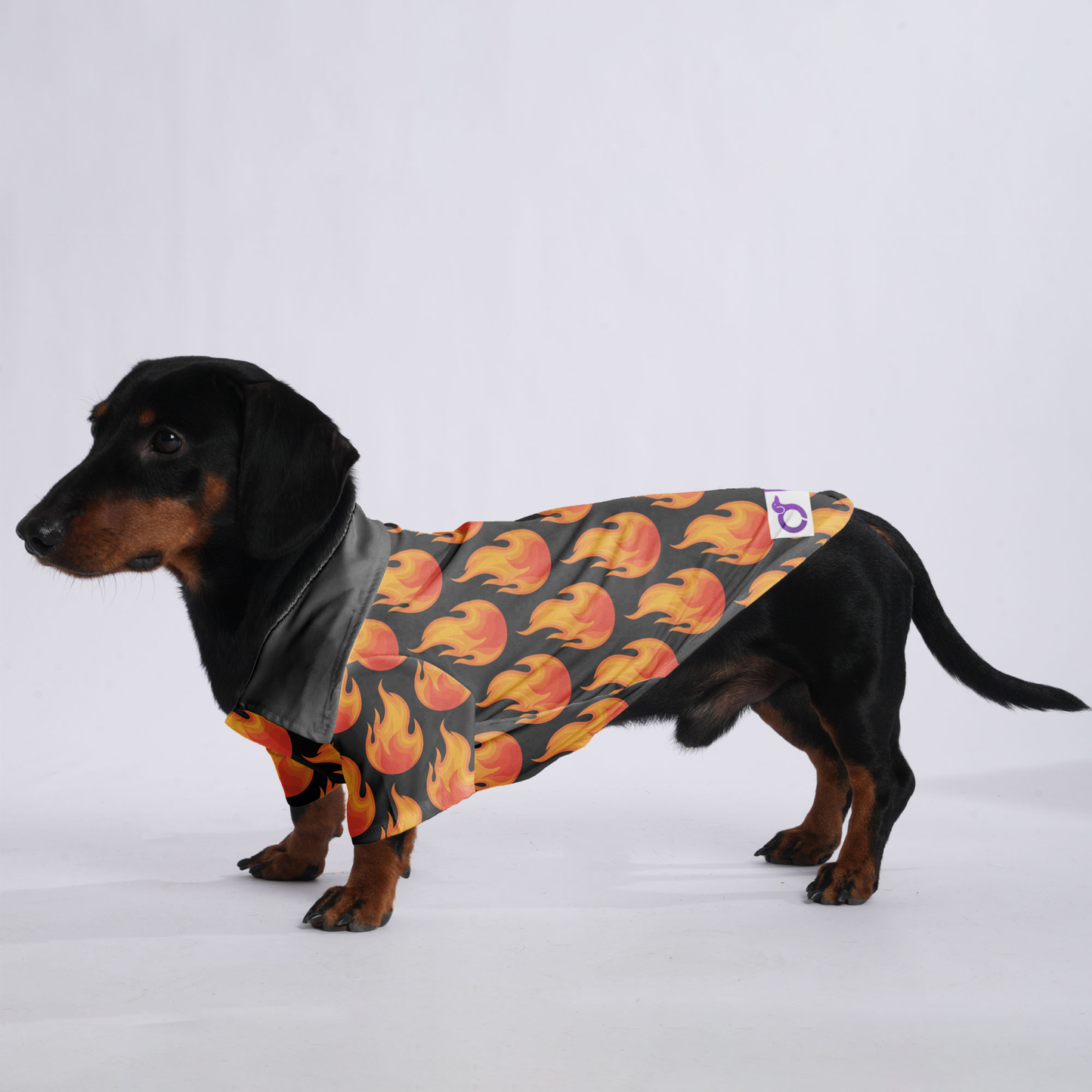 Nala - Hawaiian Shirt for Doxies