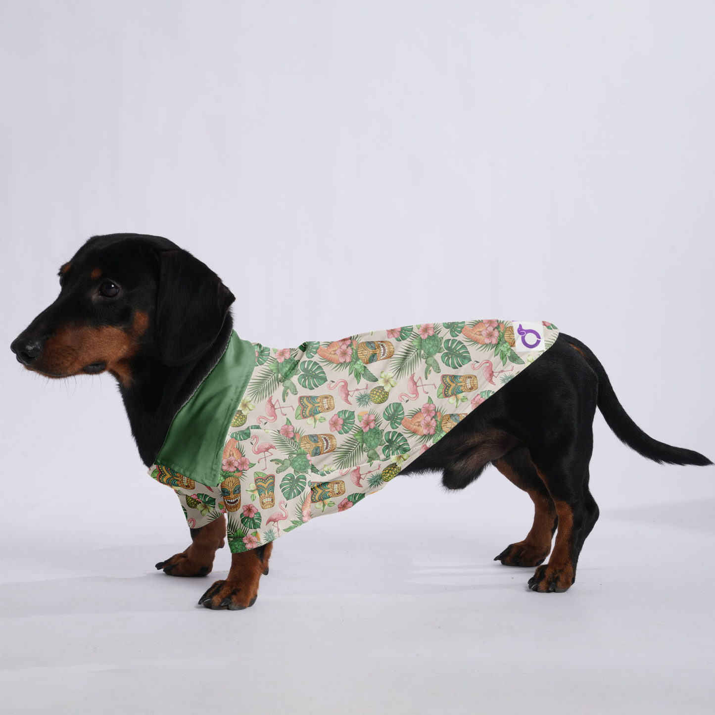 Oliver - Hawaiian Shirt for Doxies