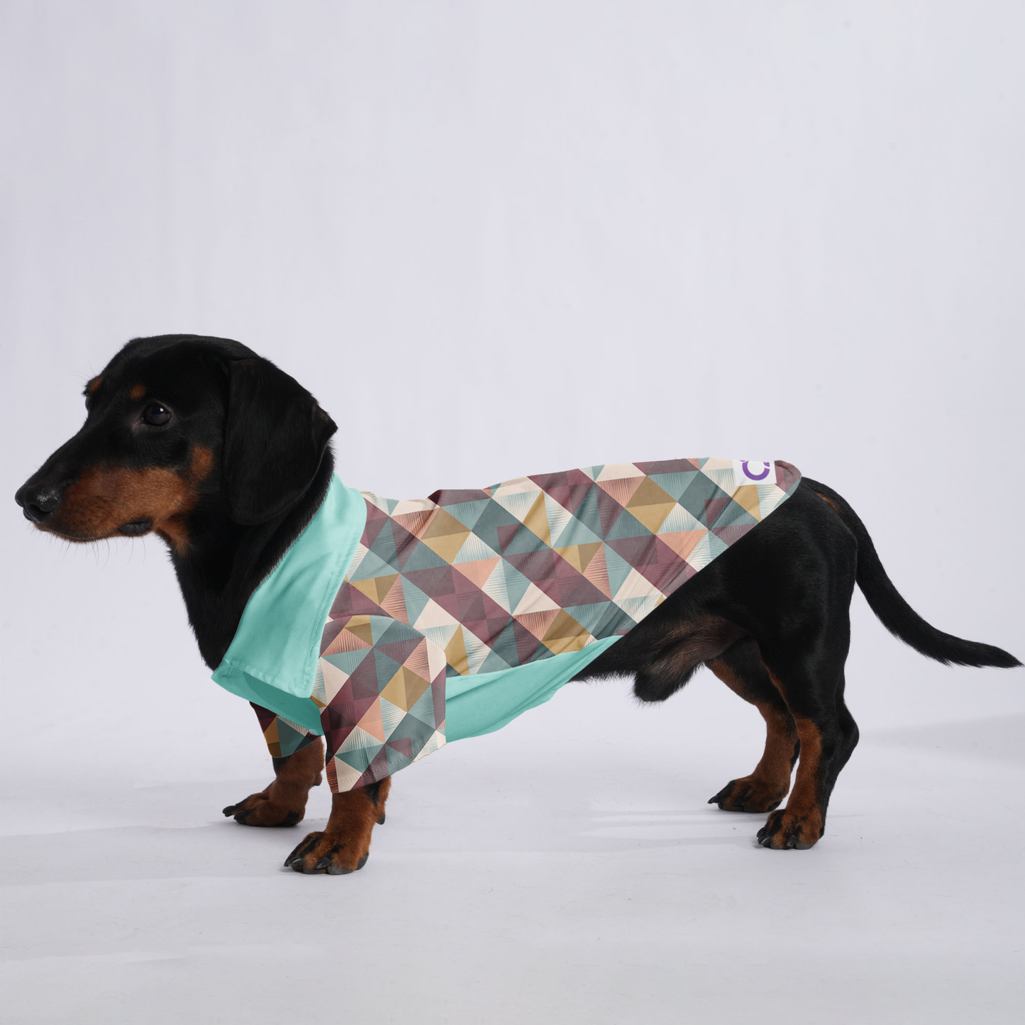 Mia - Hawaiian Shirt for Doxies