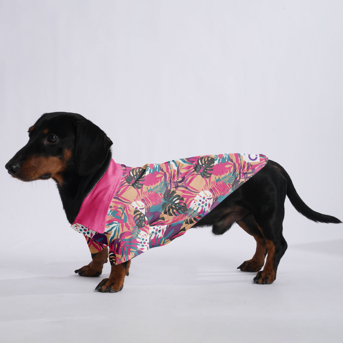 Lexi - Hawaiian Shirt for Doxies