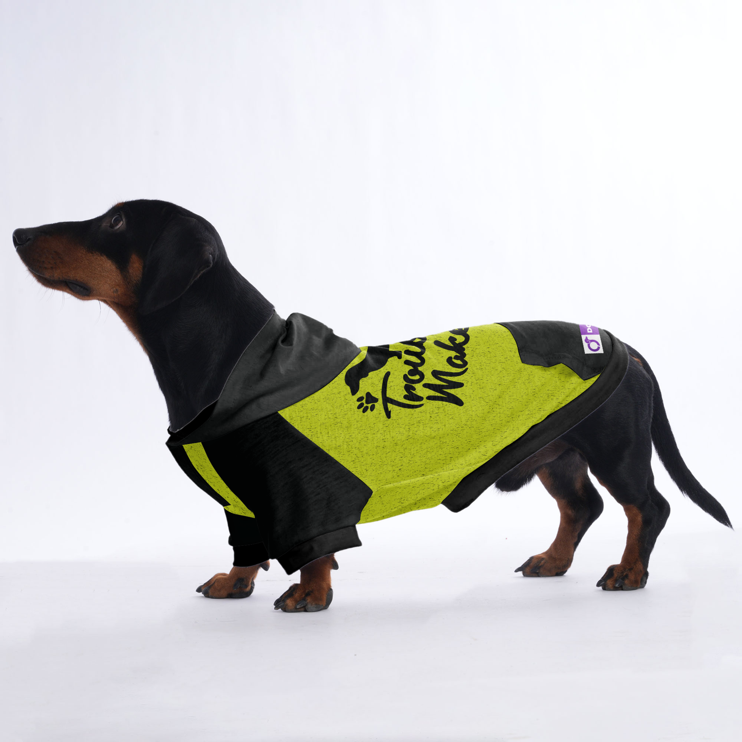 Trouble maker - Hoodies for Dachshunds