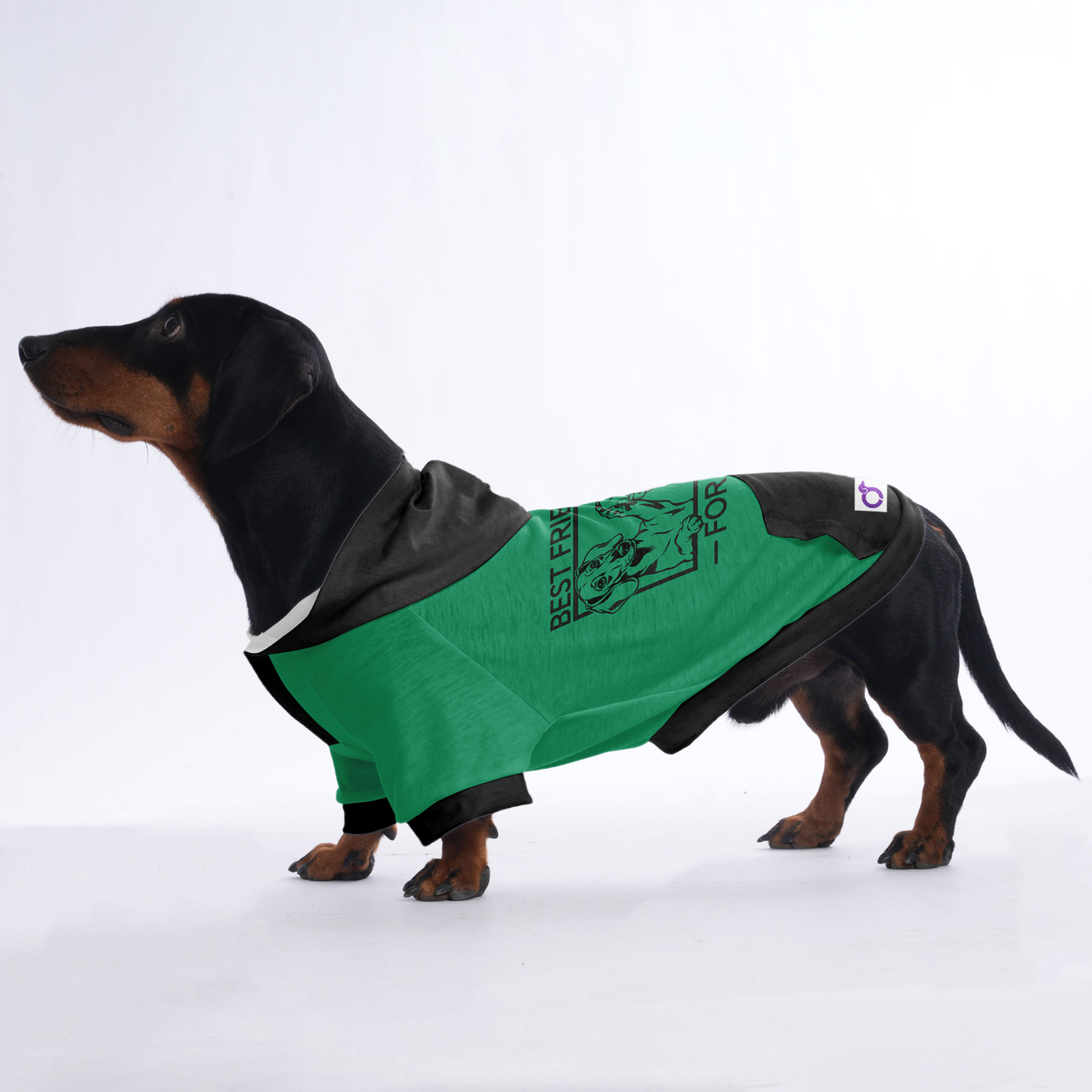 Teddy - Hoodies for Dachshunds