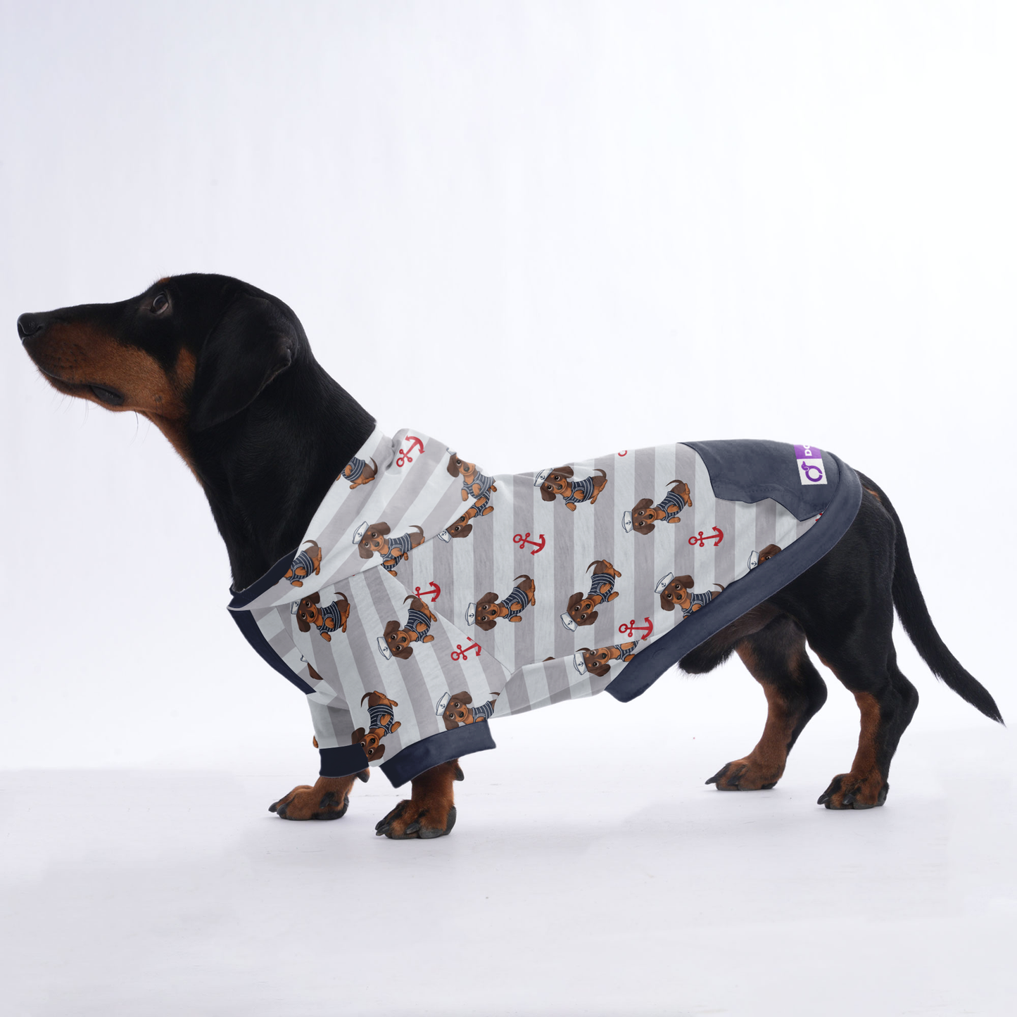 Ludwig - Hoodies for Dachshunds
