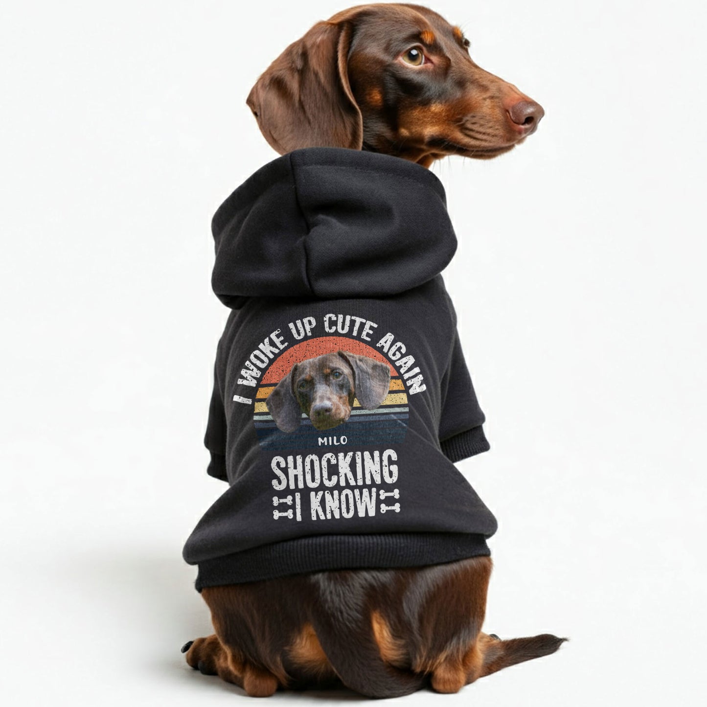 I Woke Up – Personalized Dachshund Hoodies with Your Doxie’s Name & Photo – Stylish, Cozy & Made from Premium 100% Cotton
