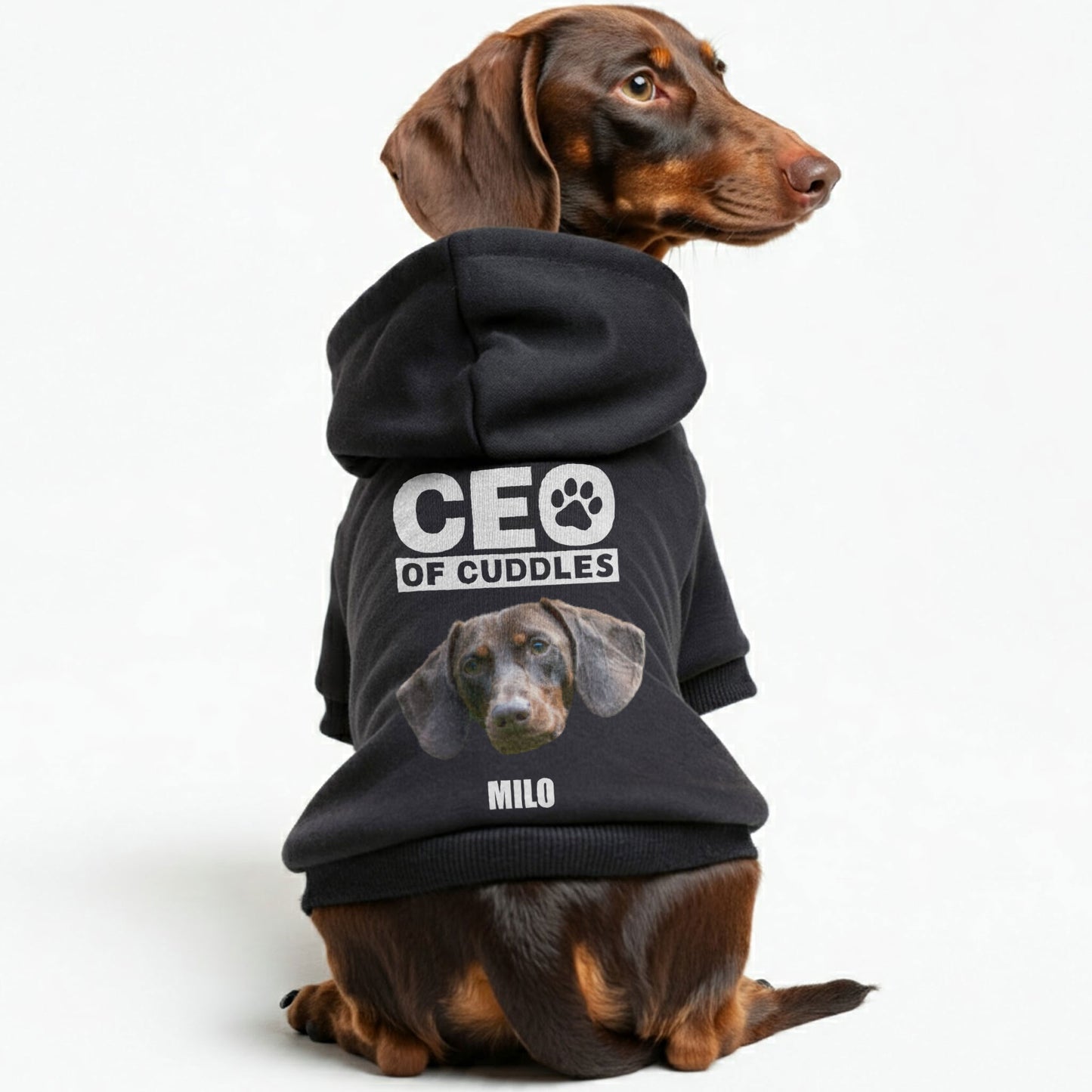 CEO of Cuddles – Personalized Dachshund Hoodies with Your Doxie’s Name & Photo or Clipart– Stylish, Cozy & Made from Premium 100% Cotton