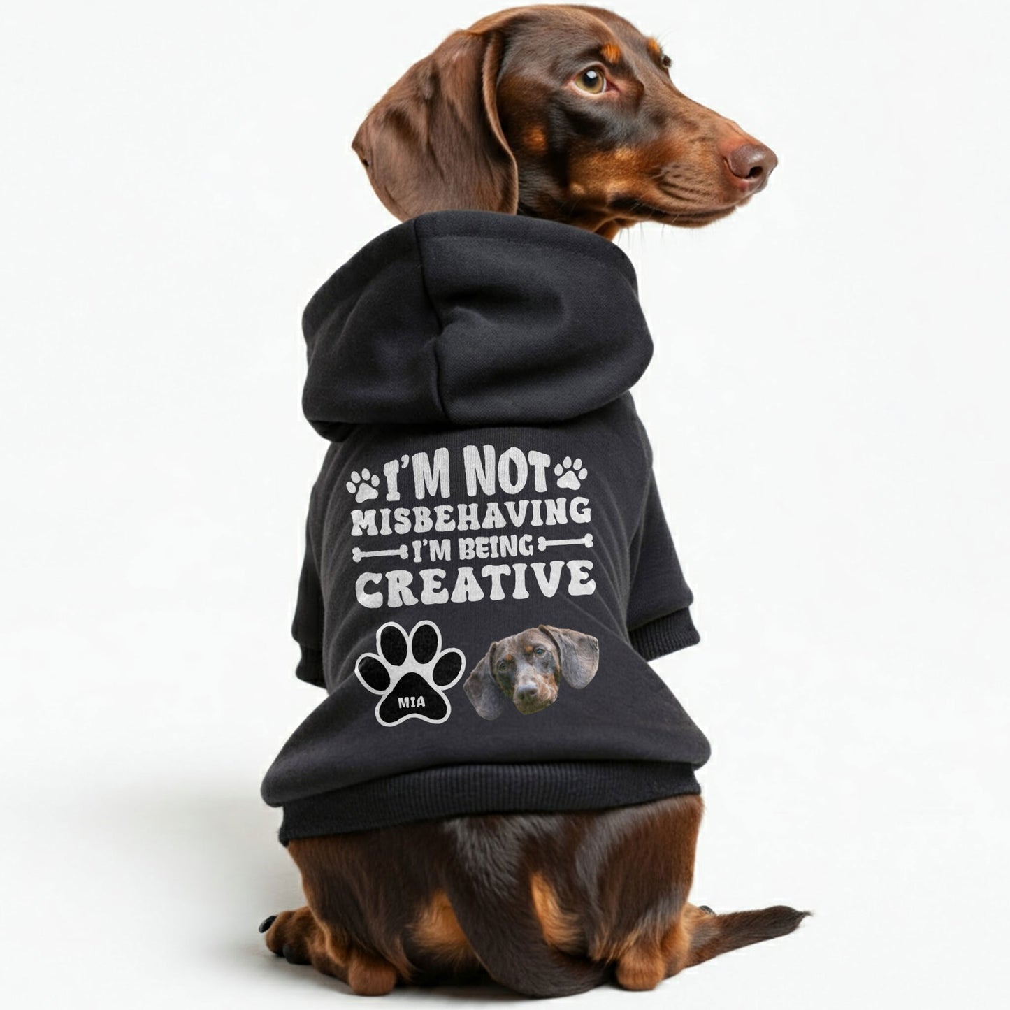 I’m not misbehaving – Personalized Dachshund Hoodies with Your Doxie’s Name & Photo – Stylish, Cozy & Made from Premium 100% Cotton