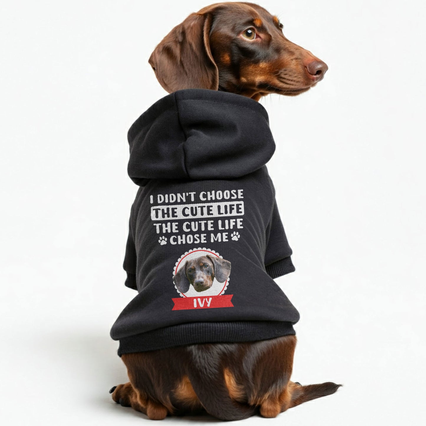 Cute Life – Personalized Dachshund Hoodies with Your Doxie’s Name & Photo – Stylish, Cozy & Made from Premium 100% Cotton