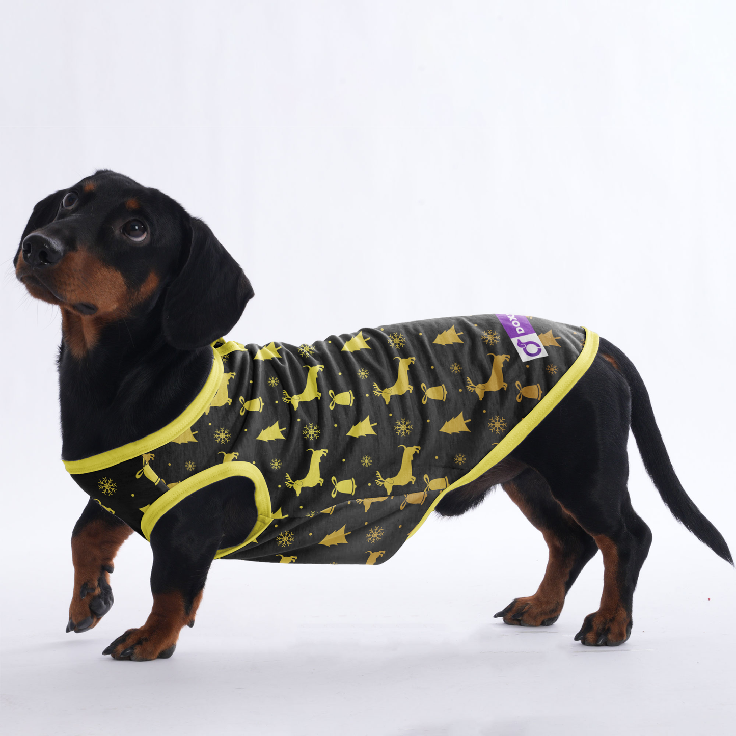 Travis - Shirt for Dachshunds