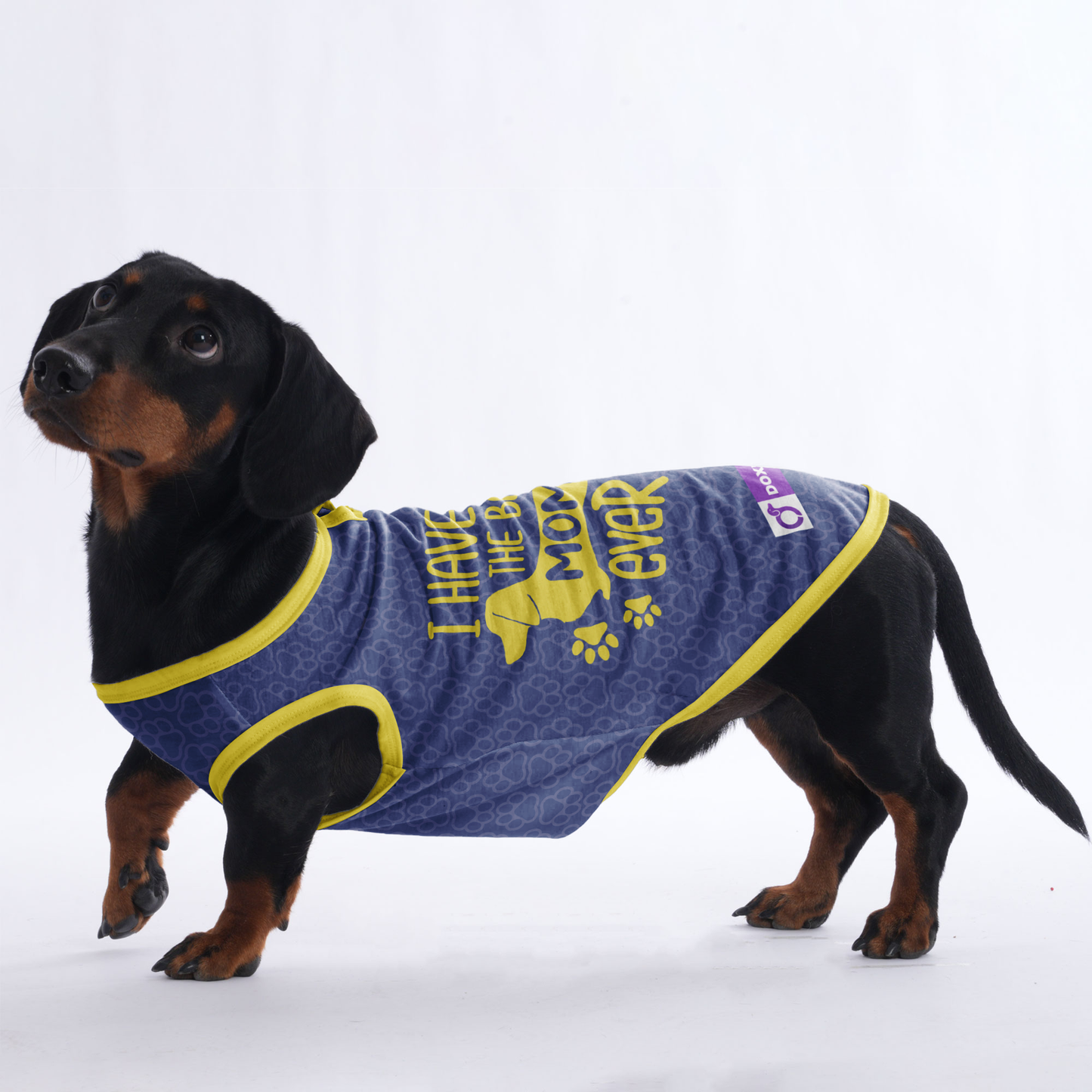I have the best mom ever - Shirt for Dachshunds