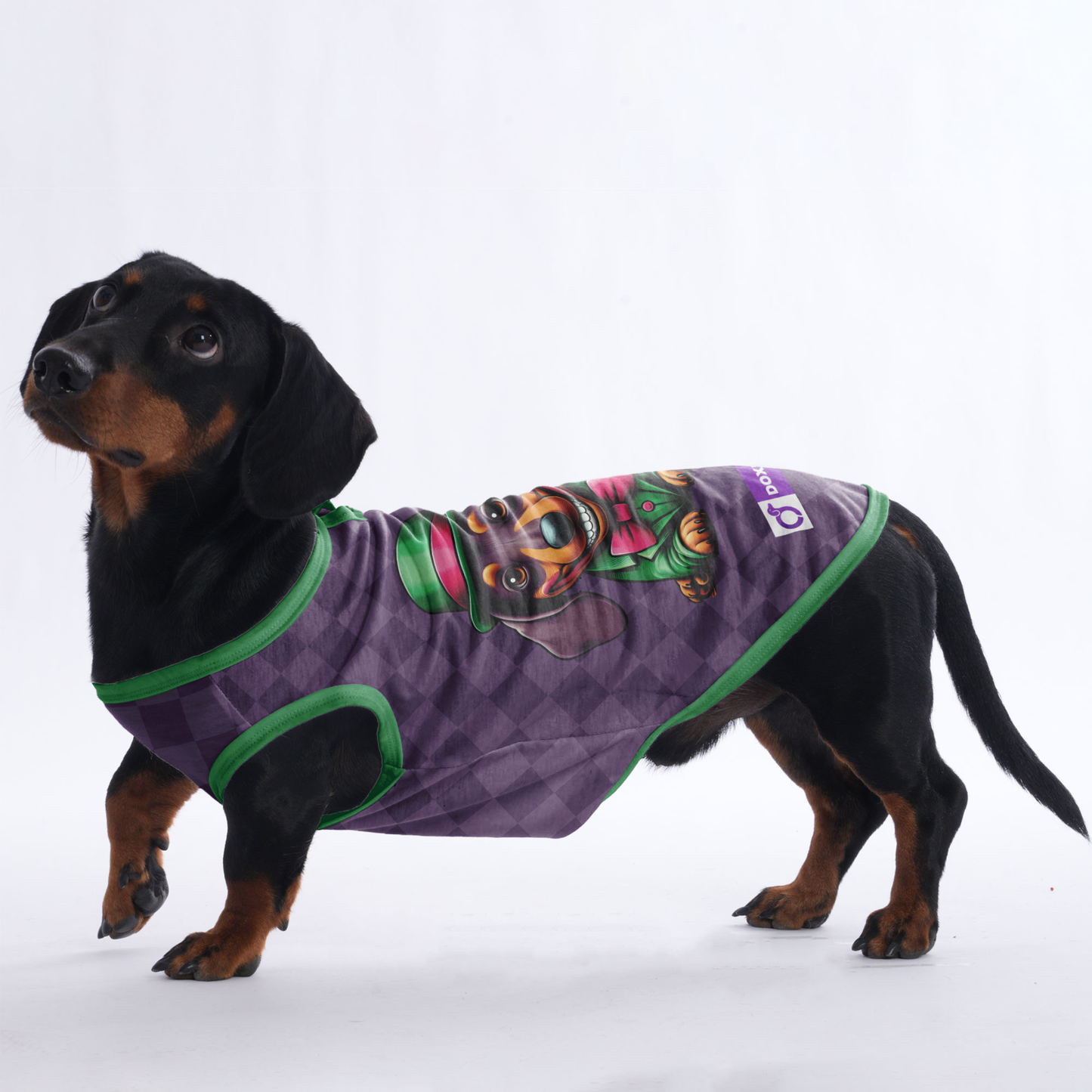 Pickle - Shirt for Dachshunds