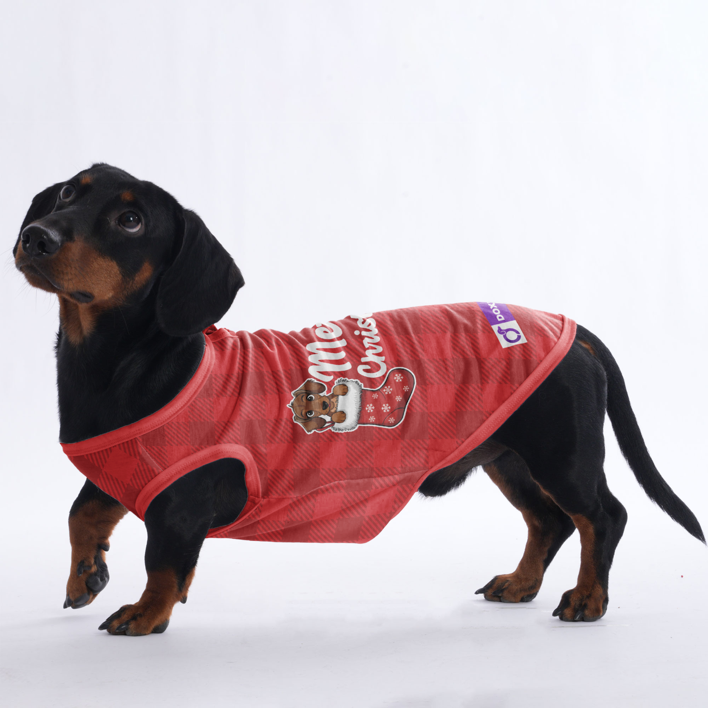 Merry Christmas - Shirt for Dachshunds