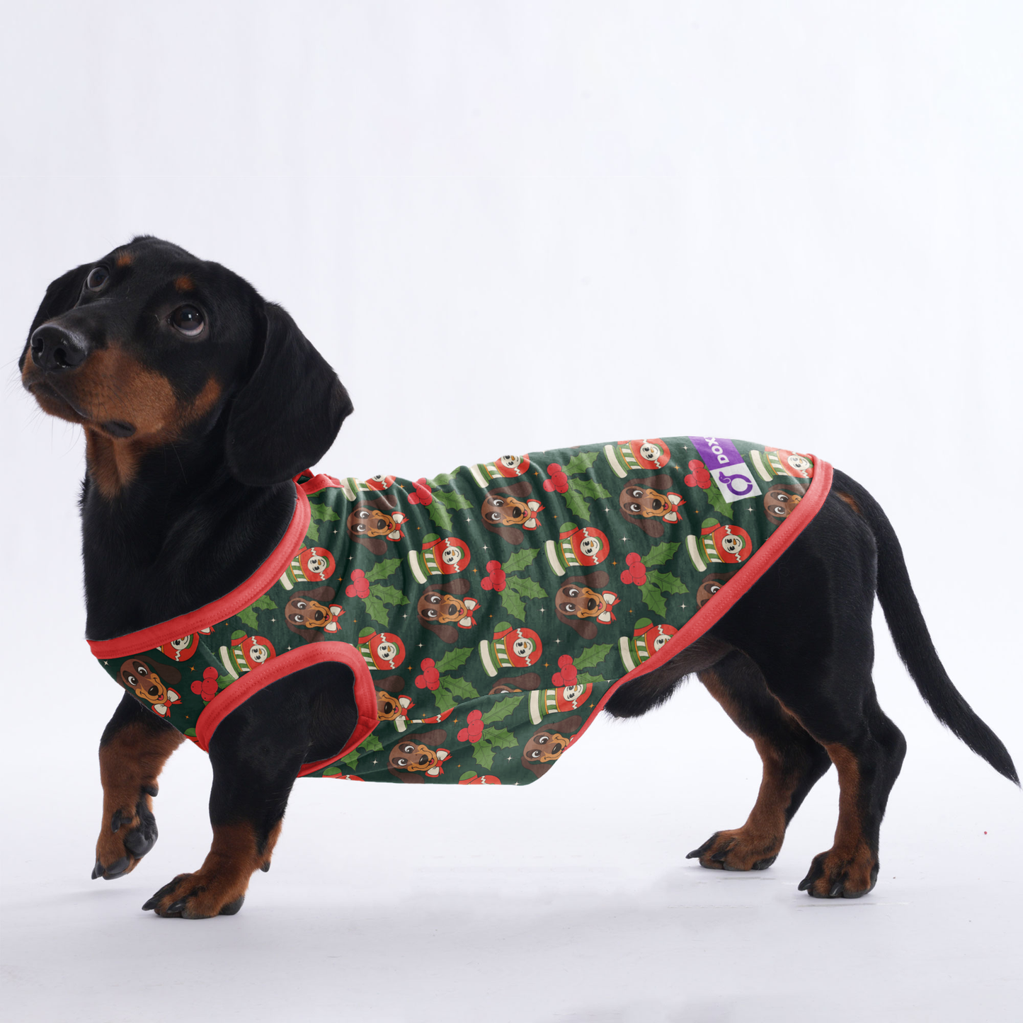 Dexter - Shirt for Dachshunds