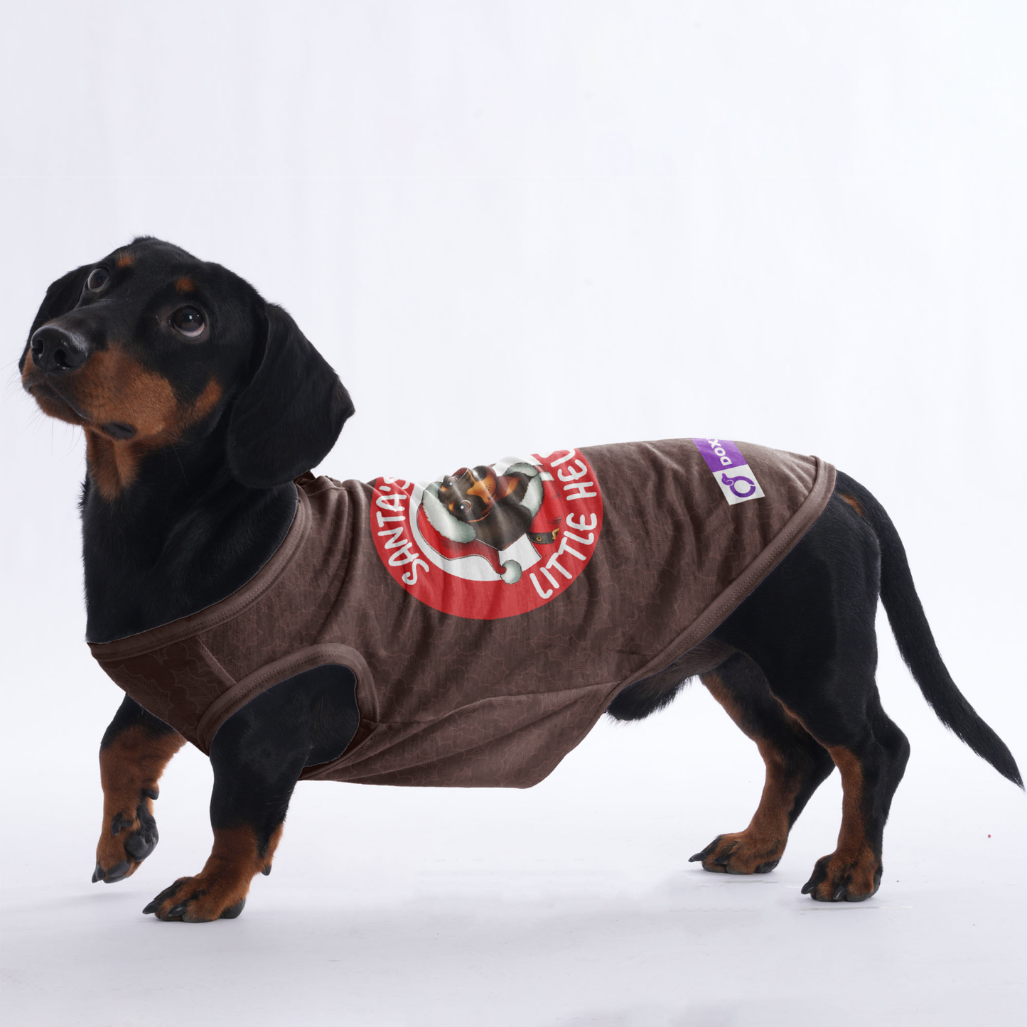Santa's little helper - Shirt for Dachshunds