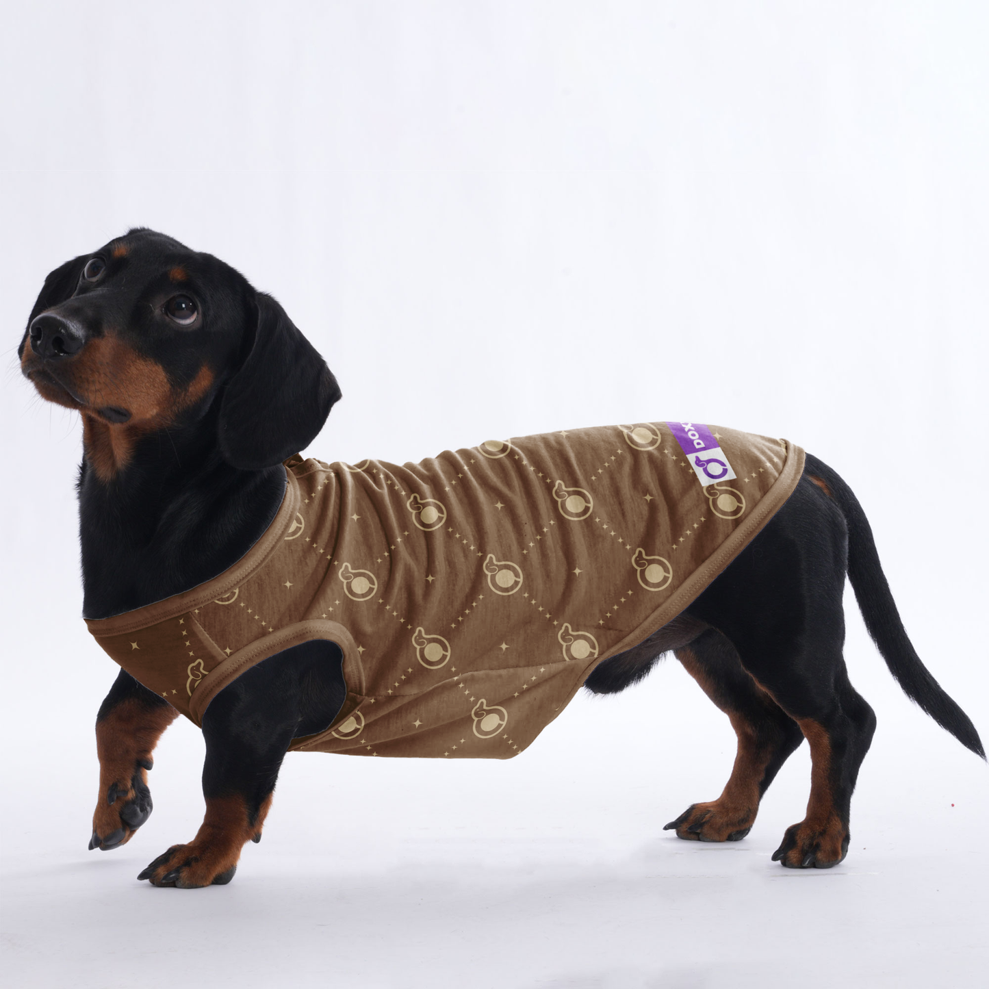 Harris - Shirt for Dachshunds