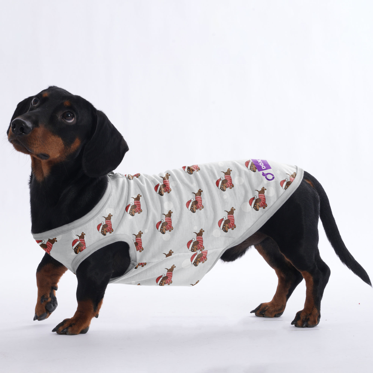 Mabel - Shirt for Dachshunds