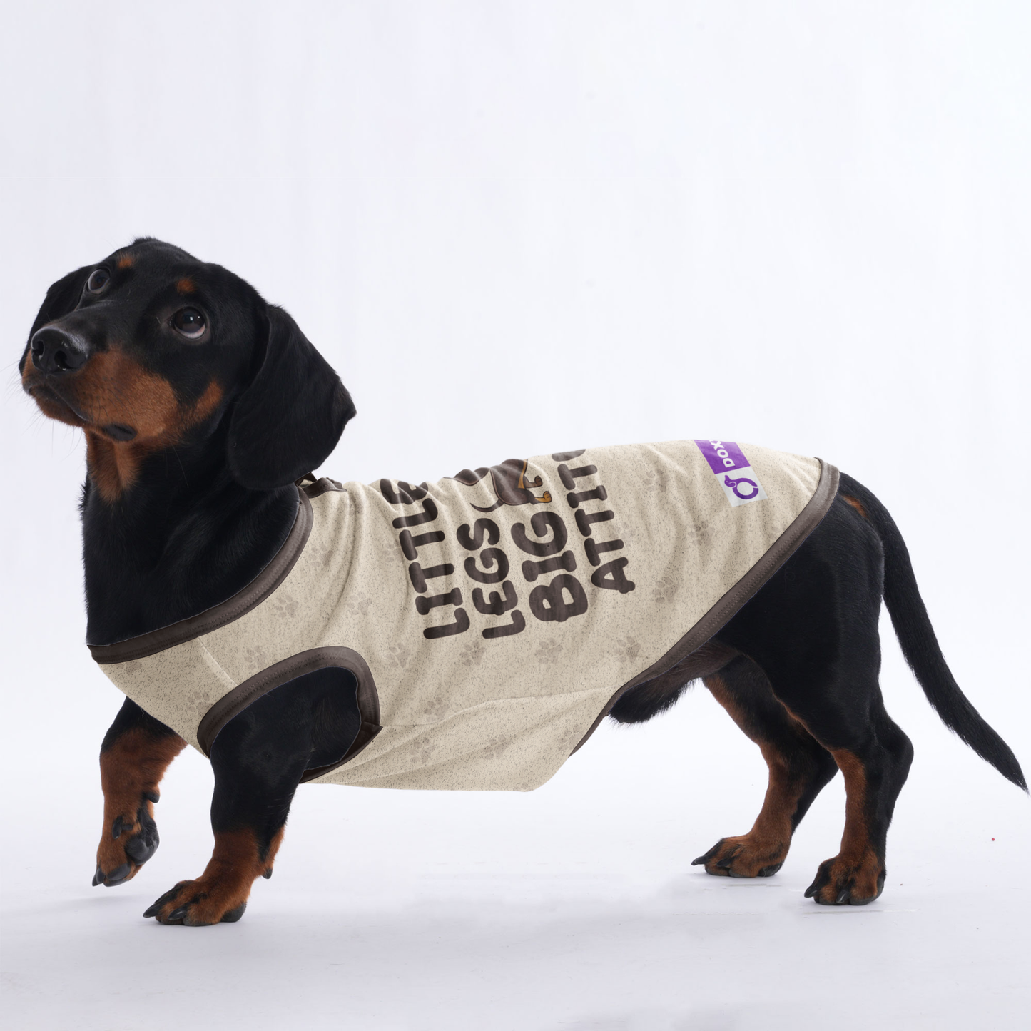 LITTLE LEGS BIG ATTITUDE - Shirt for Dachshunds