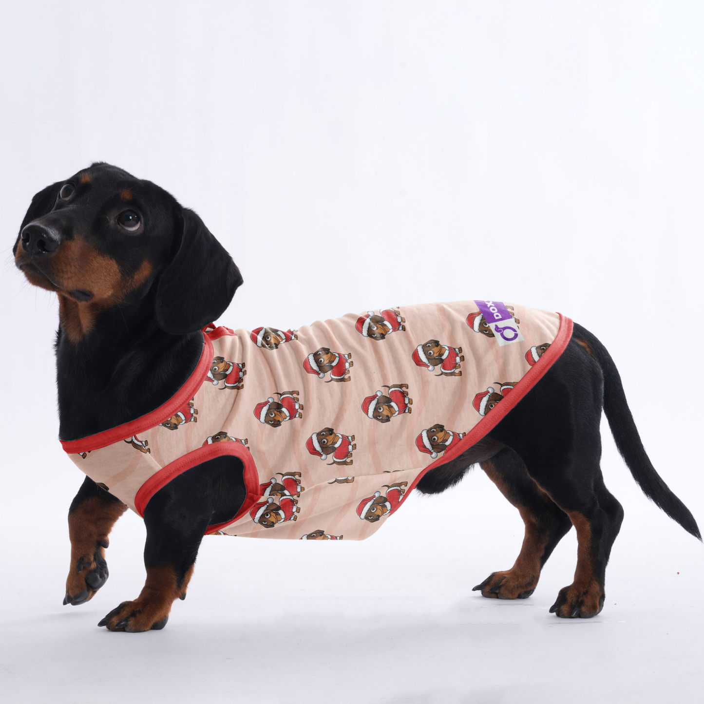 Mochi - Shirt for Dachshunds
