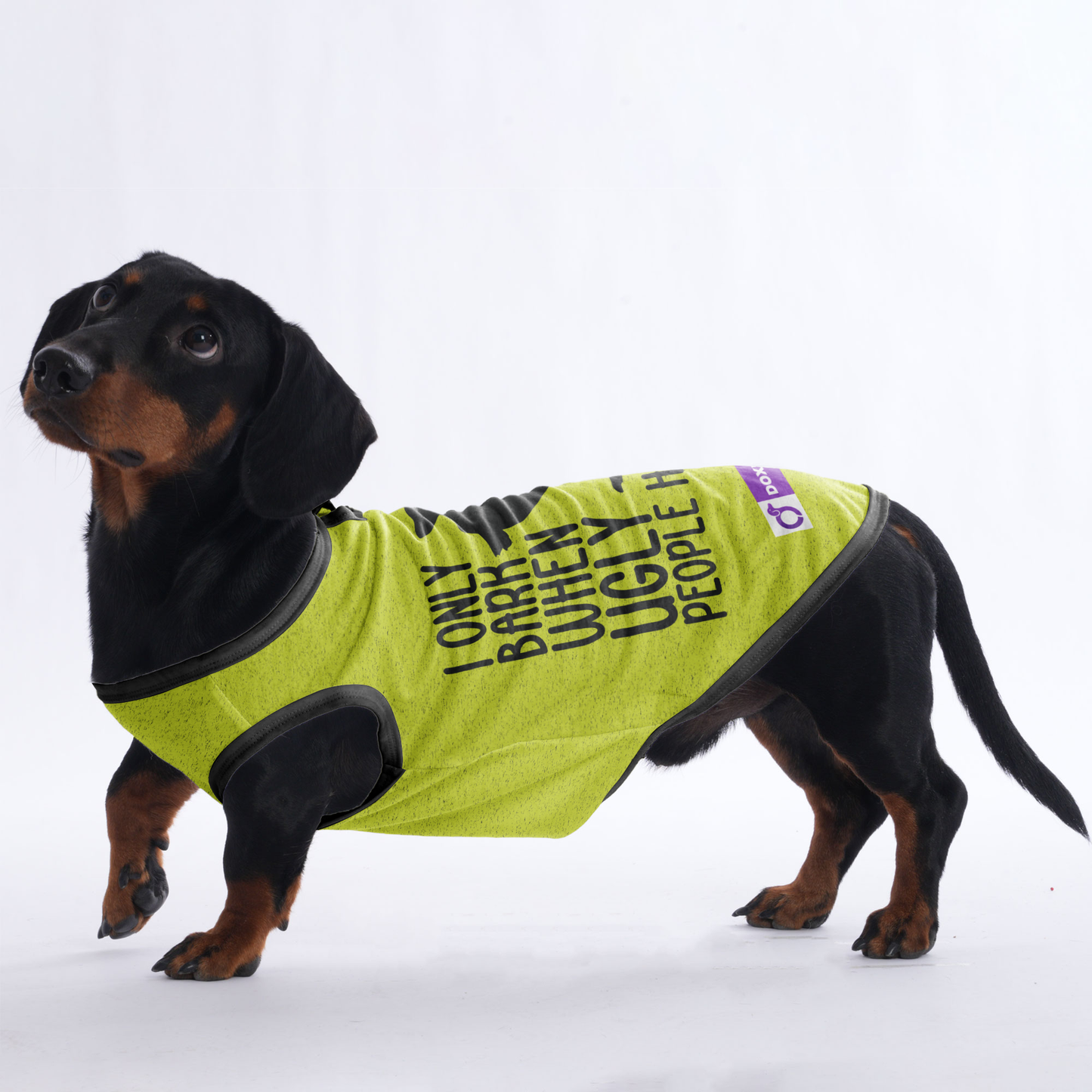 I ONLY BARK WHEN UGLY PEOPLE HOLD ME - Shirt for Dachshunds