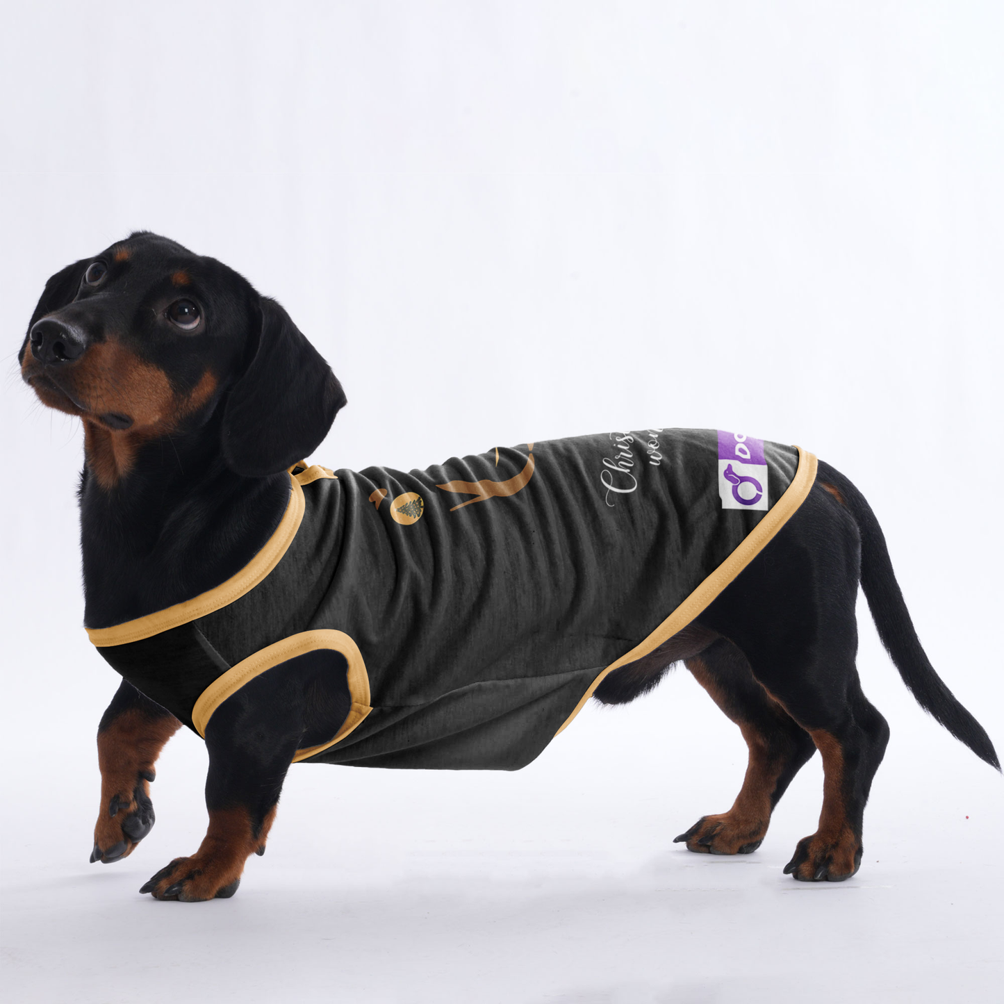 Bailey - Shirt for Dachshunds