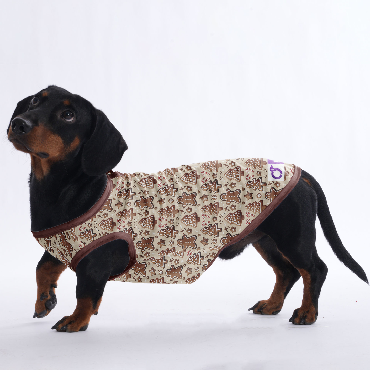 Molly - Shirt for Dachshunds
