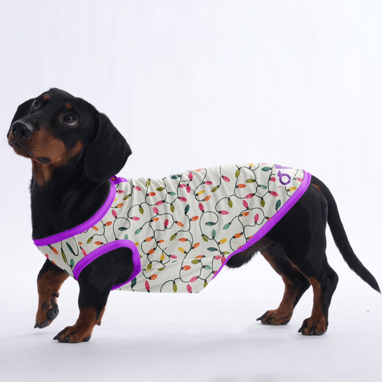 Rocky - Shirt for Dachshunds