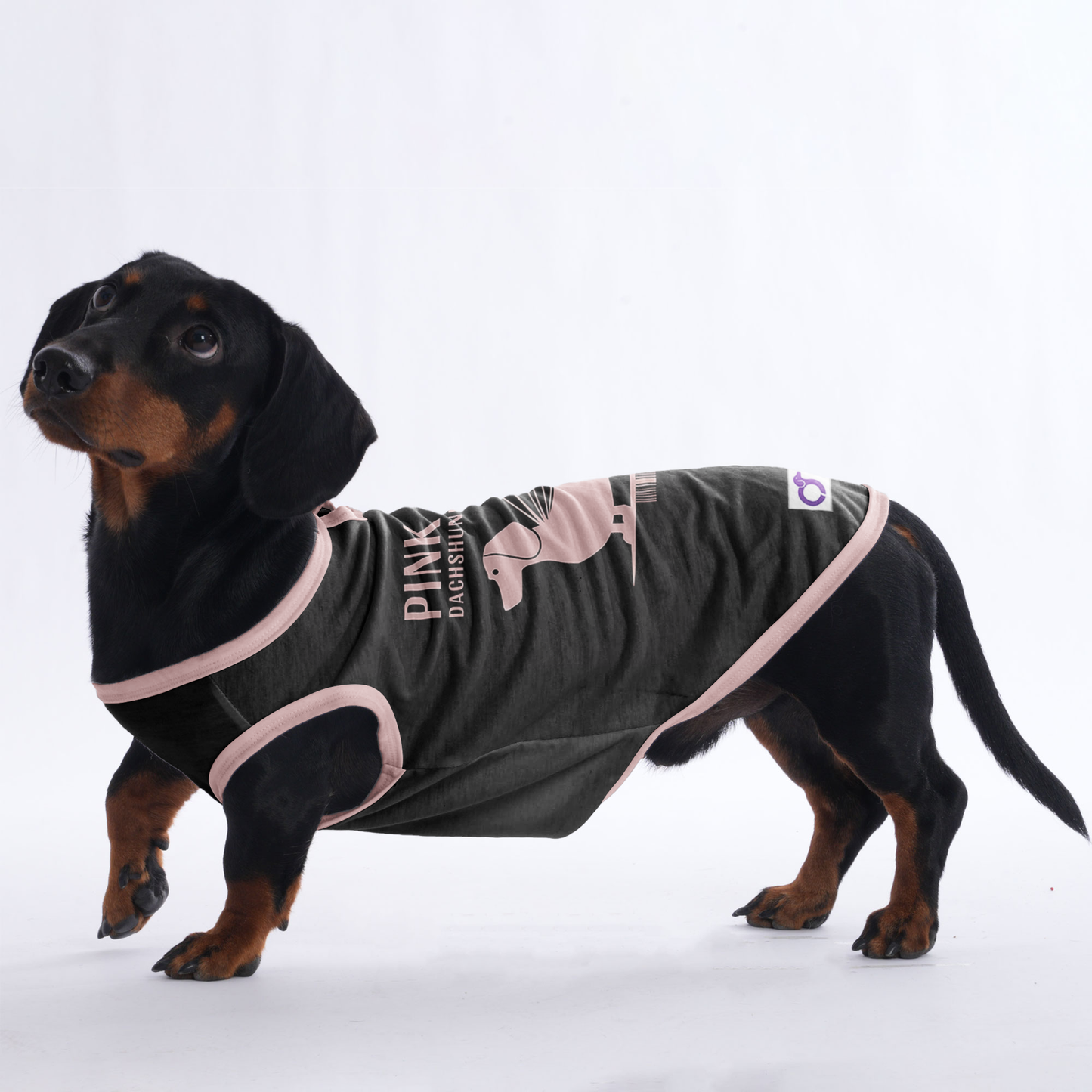 Chloe - Shirt for Dachshunds